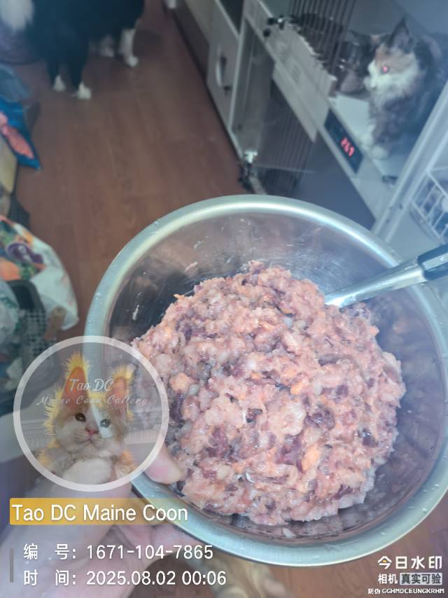 三文鱼+牛+鸡