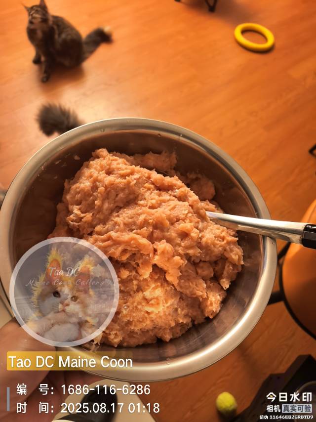 鸡，三文鱼
