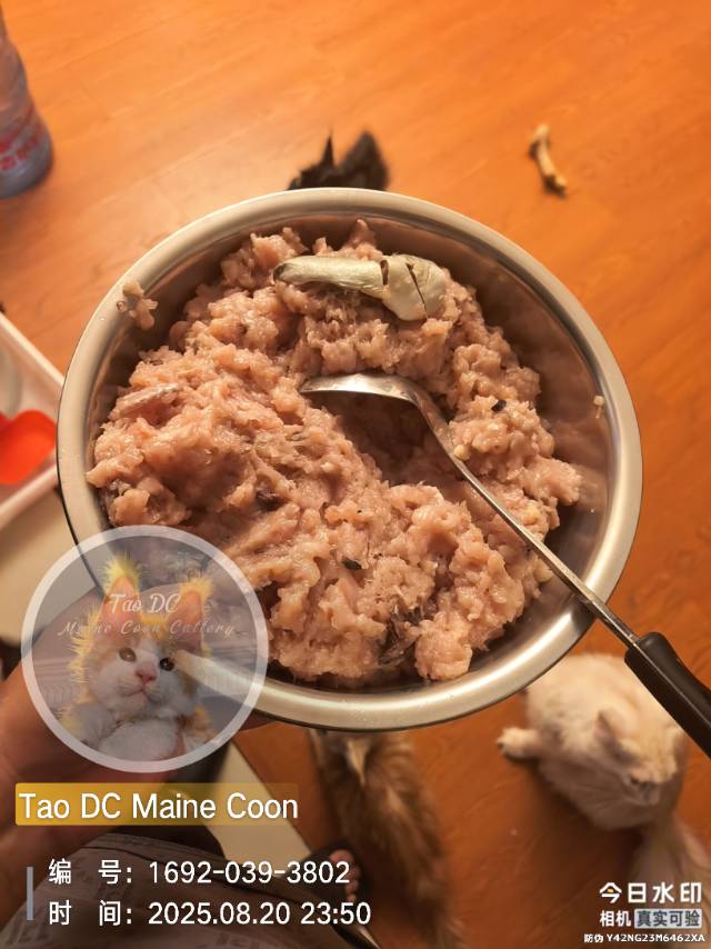 青花鱼，鸡