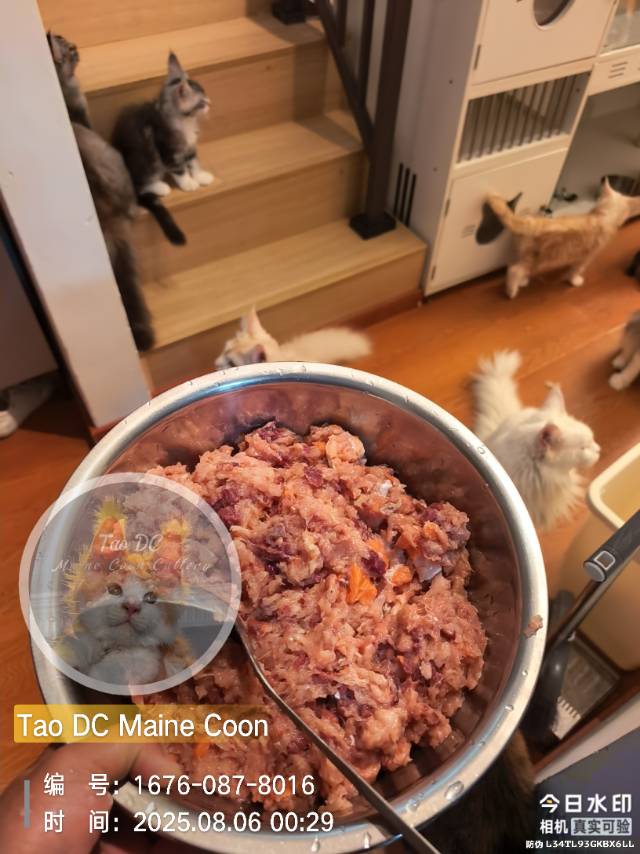 鸡，牛，三文鱼
