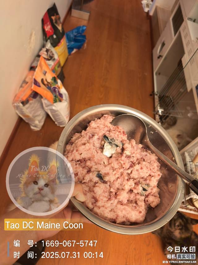 鸡+牛+青花鱼