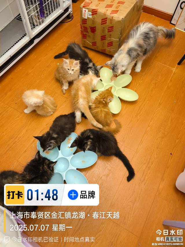 炎炎