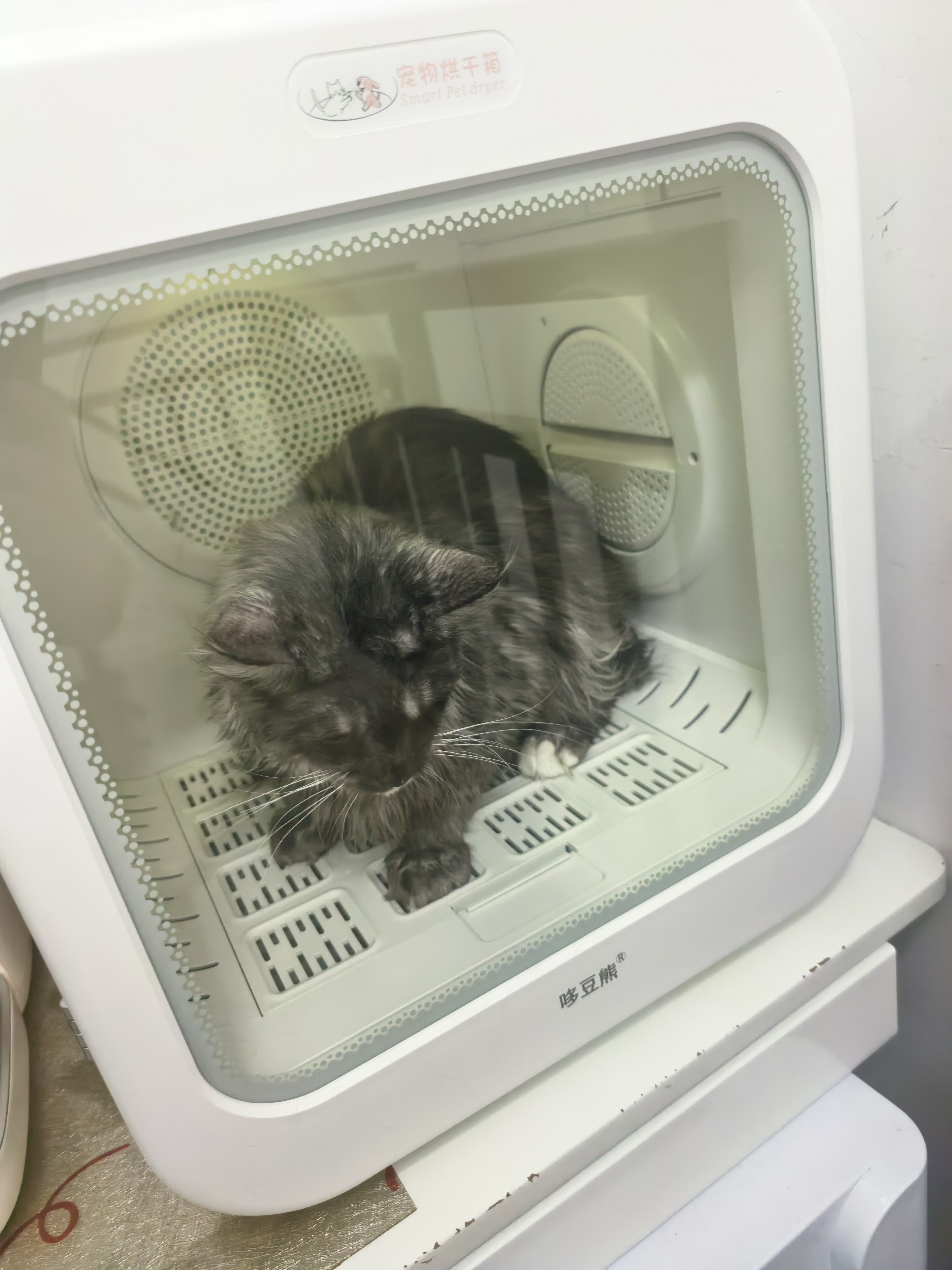 墨尘