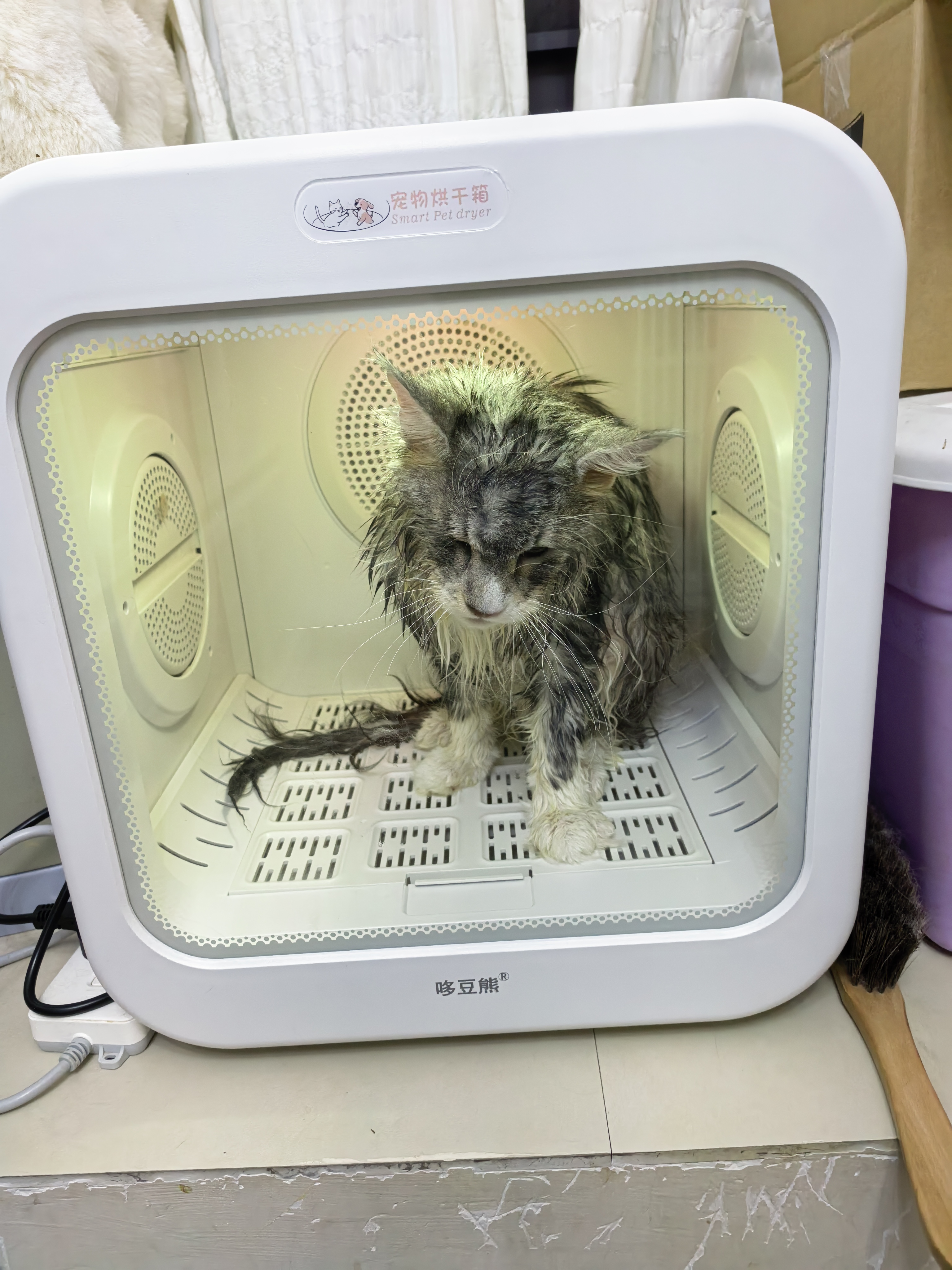 烟灰妹妹