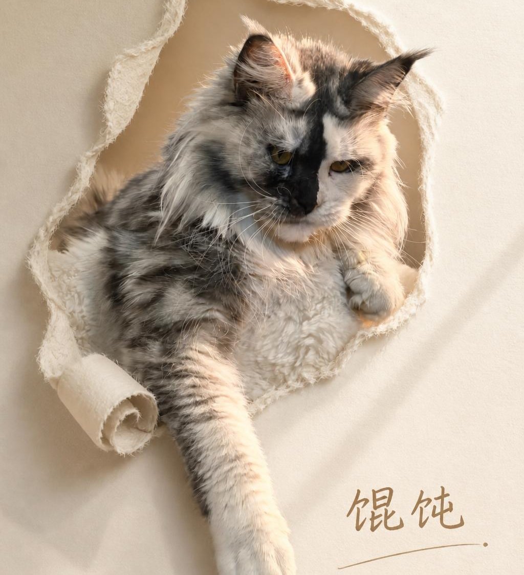 馄饨