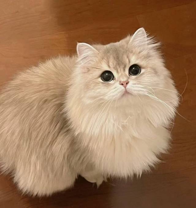 00