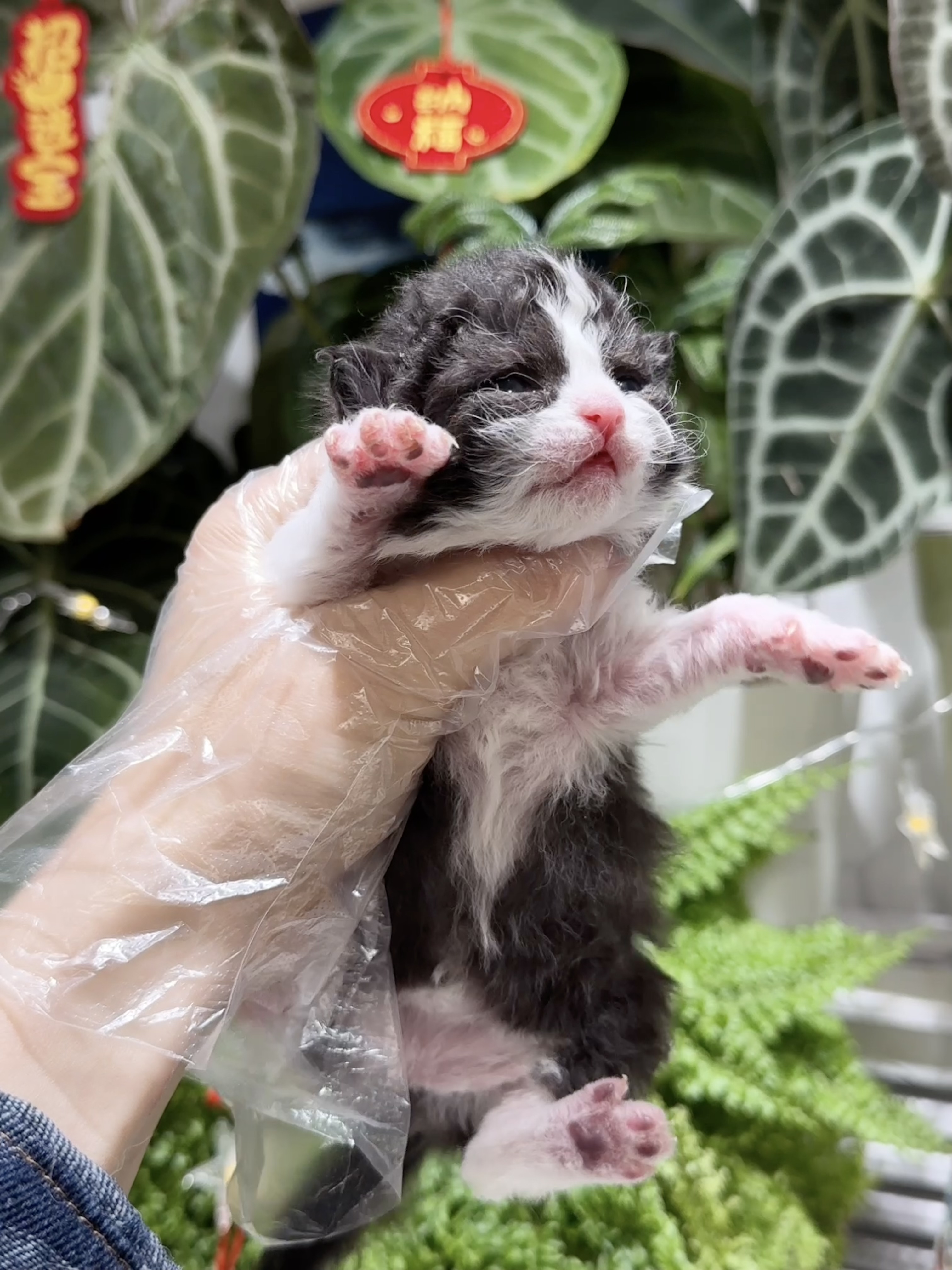 二柱子（黑白） 照片 3