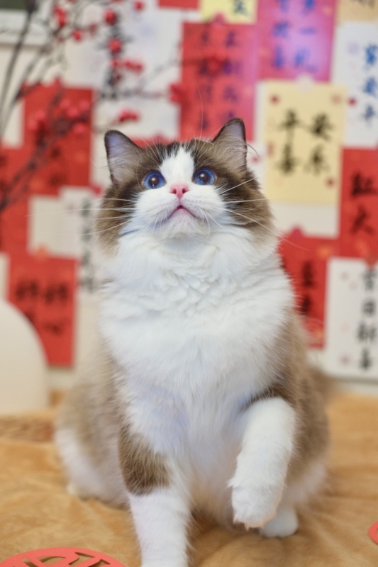 秋水