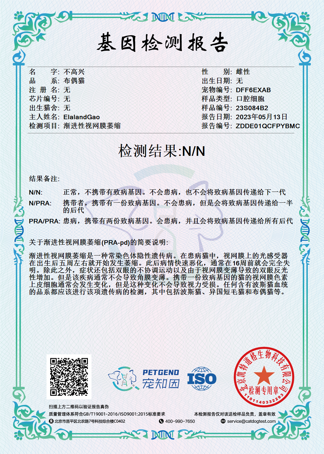 不高兴 DNA 4