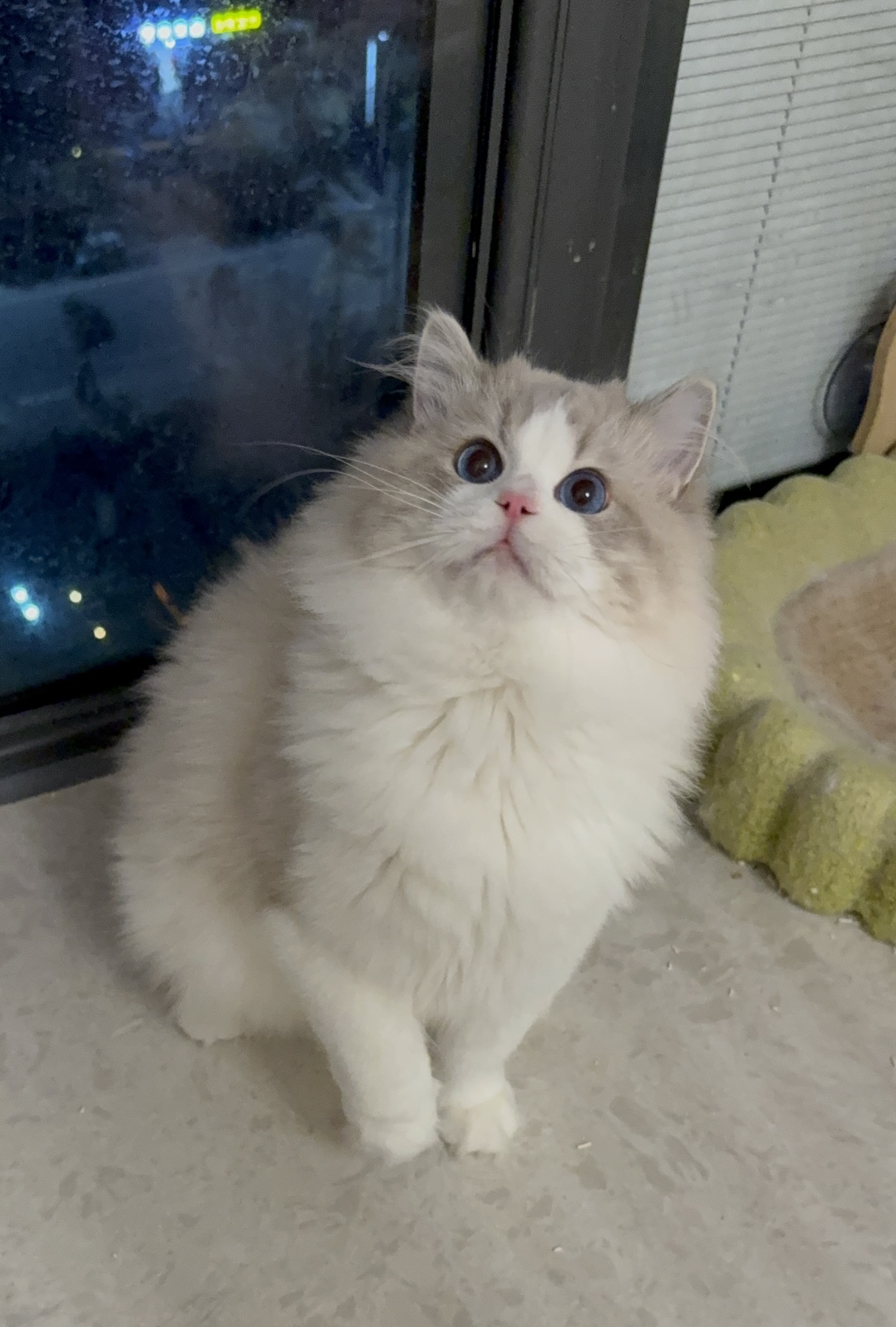 富贵