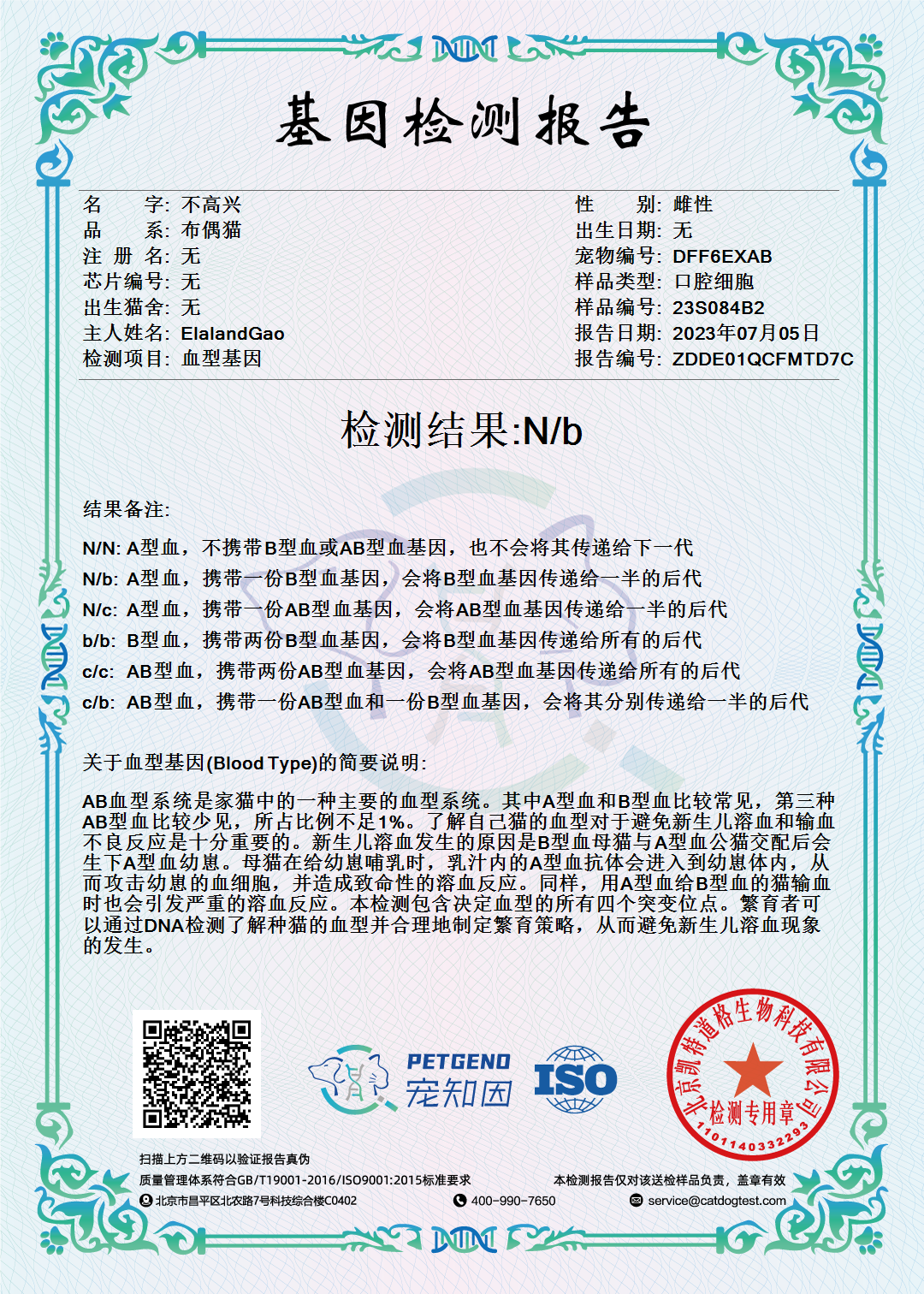 不高兴 DNA 1