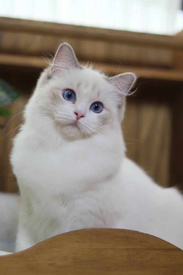 小美满