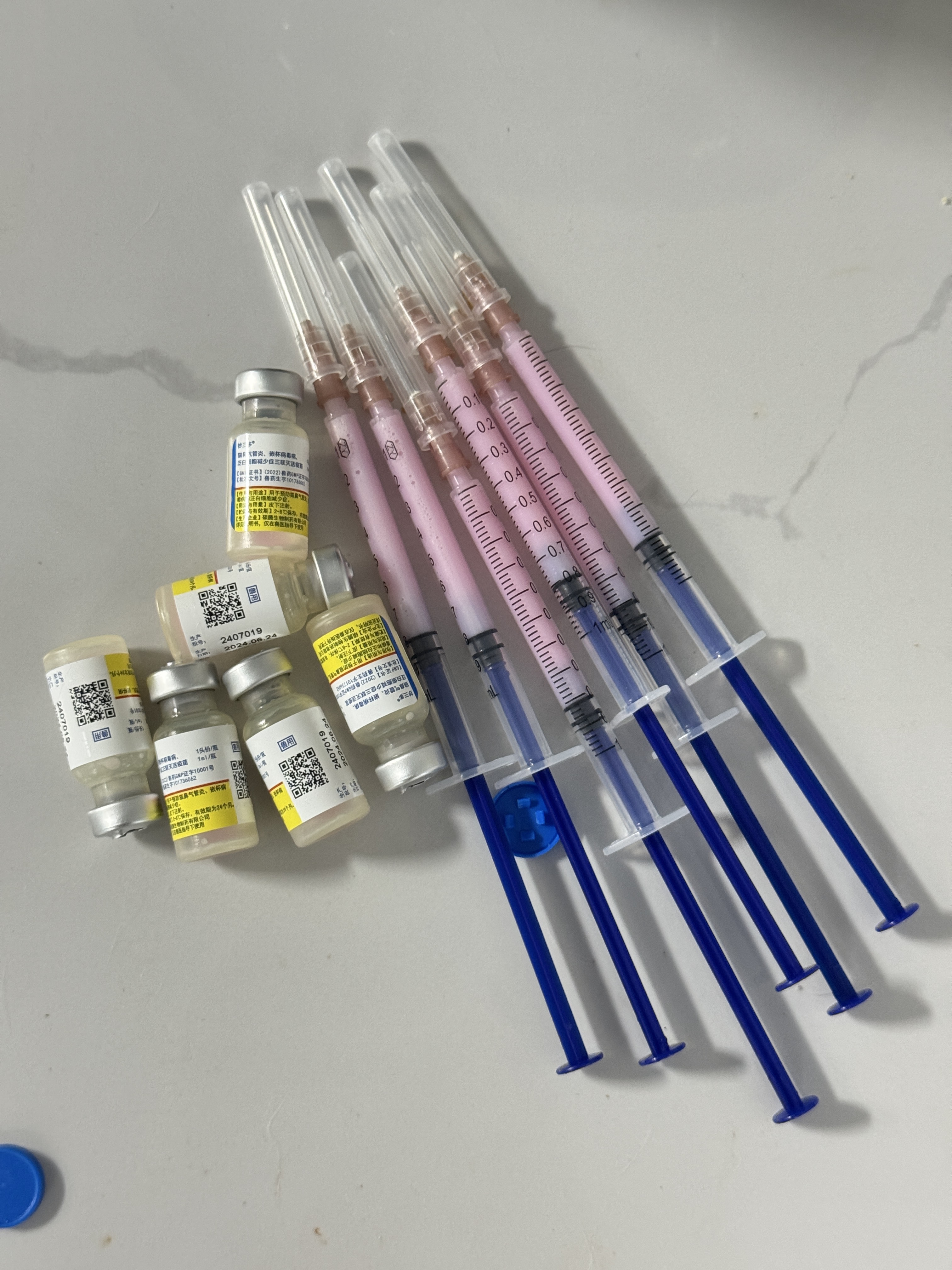 第二针疫苗噜💉