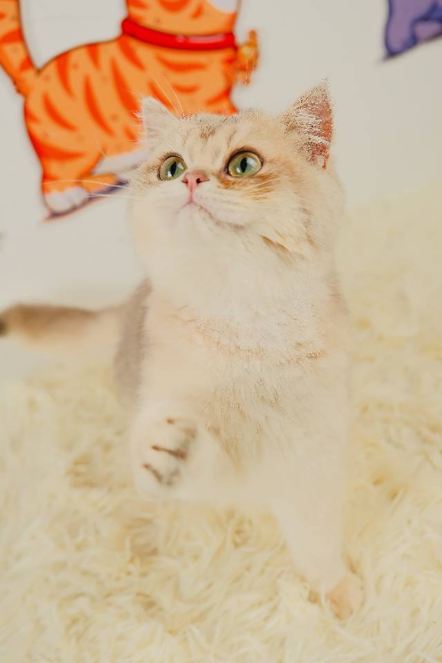 10 照片 2
