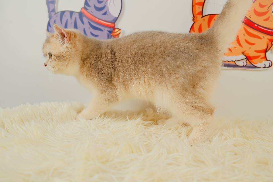 6 照片 2