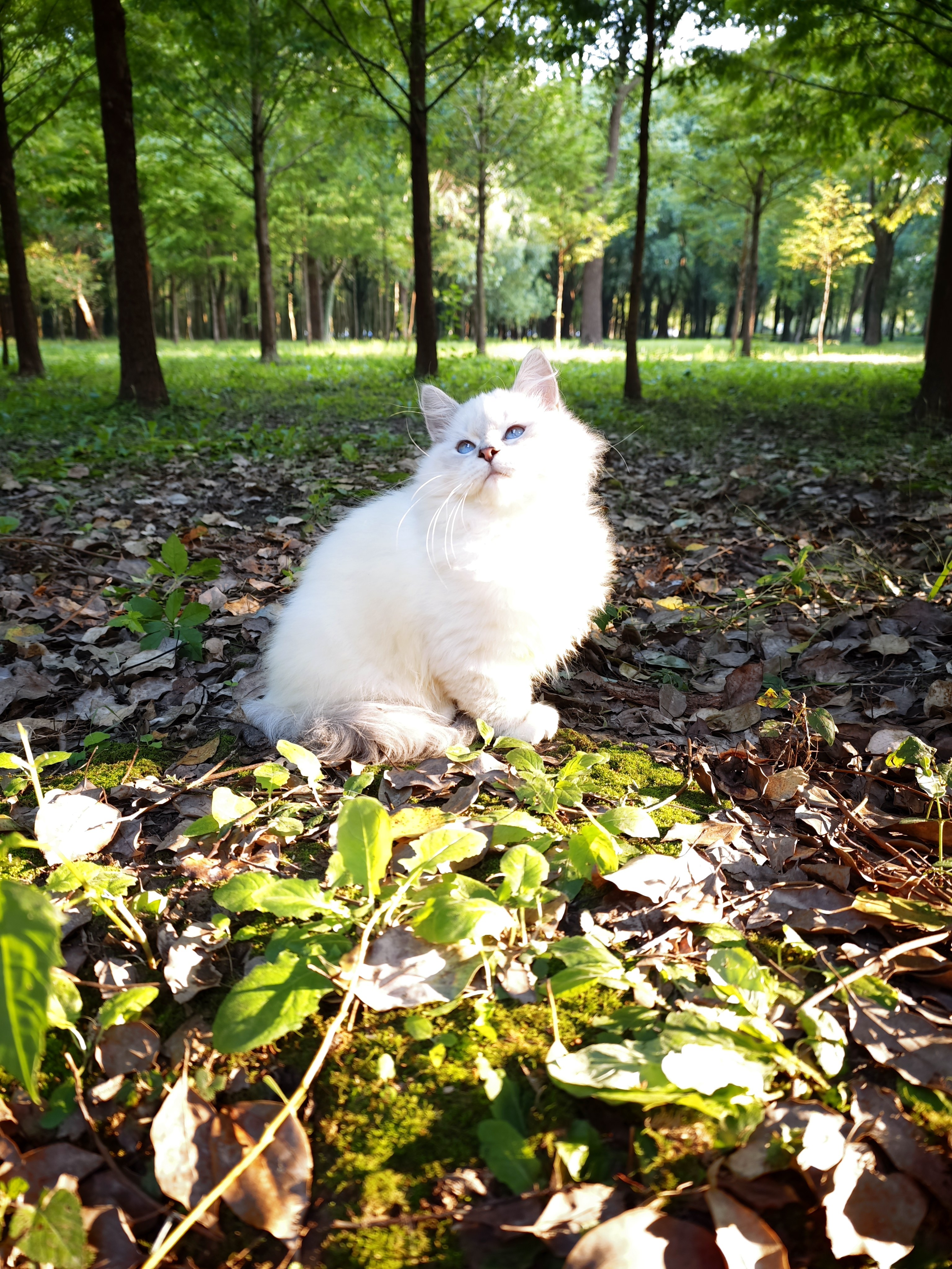 Casper 卡斯珀 7