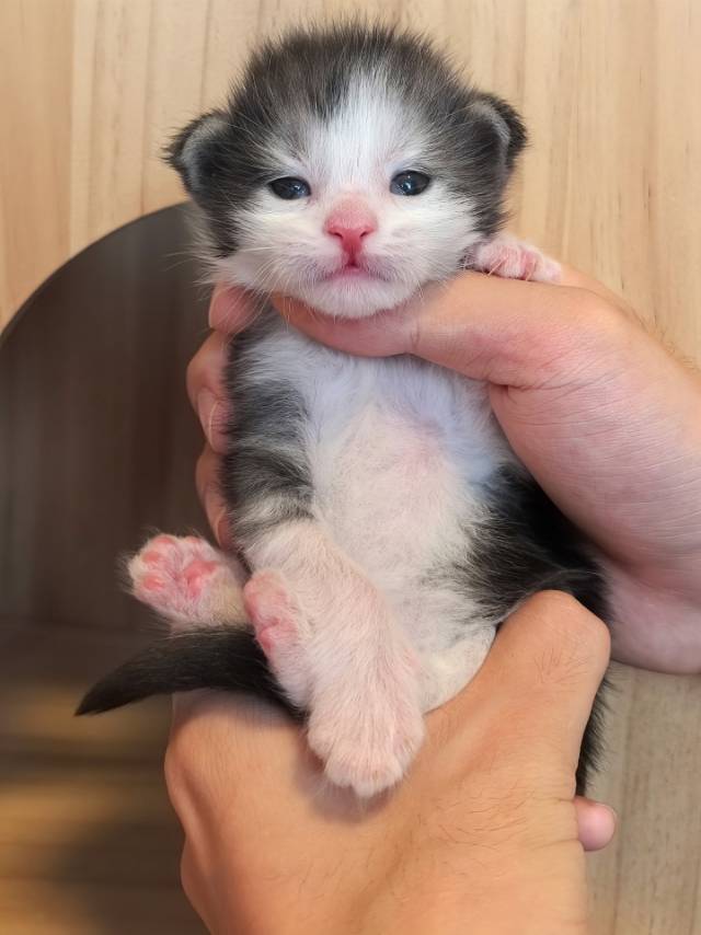 JQCOONS喔喔 照片 6