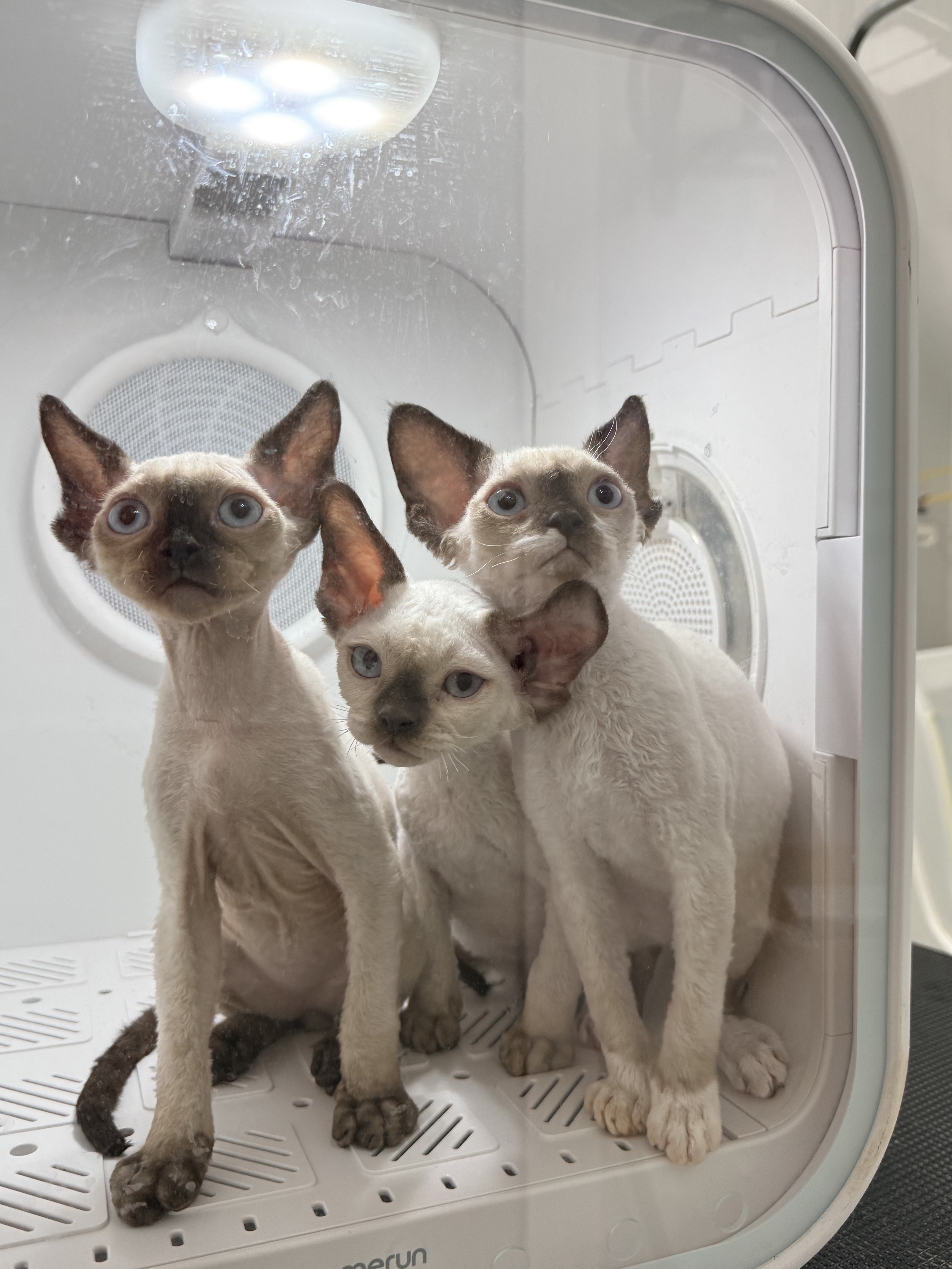 第一次洗澡记录🛁～