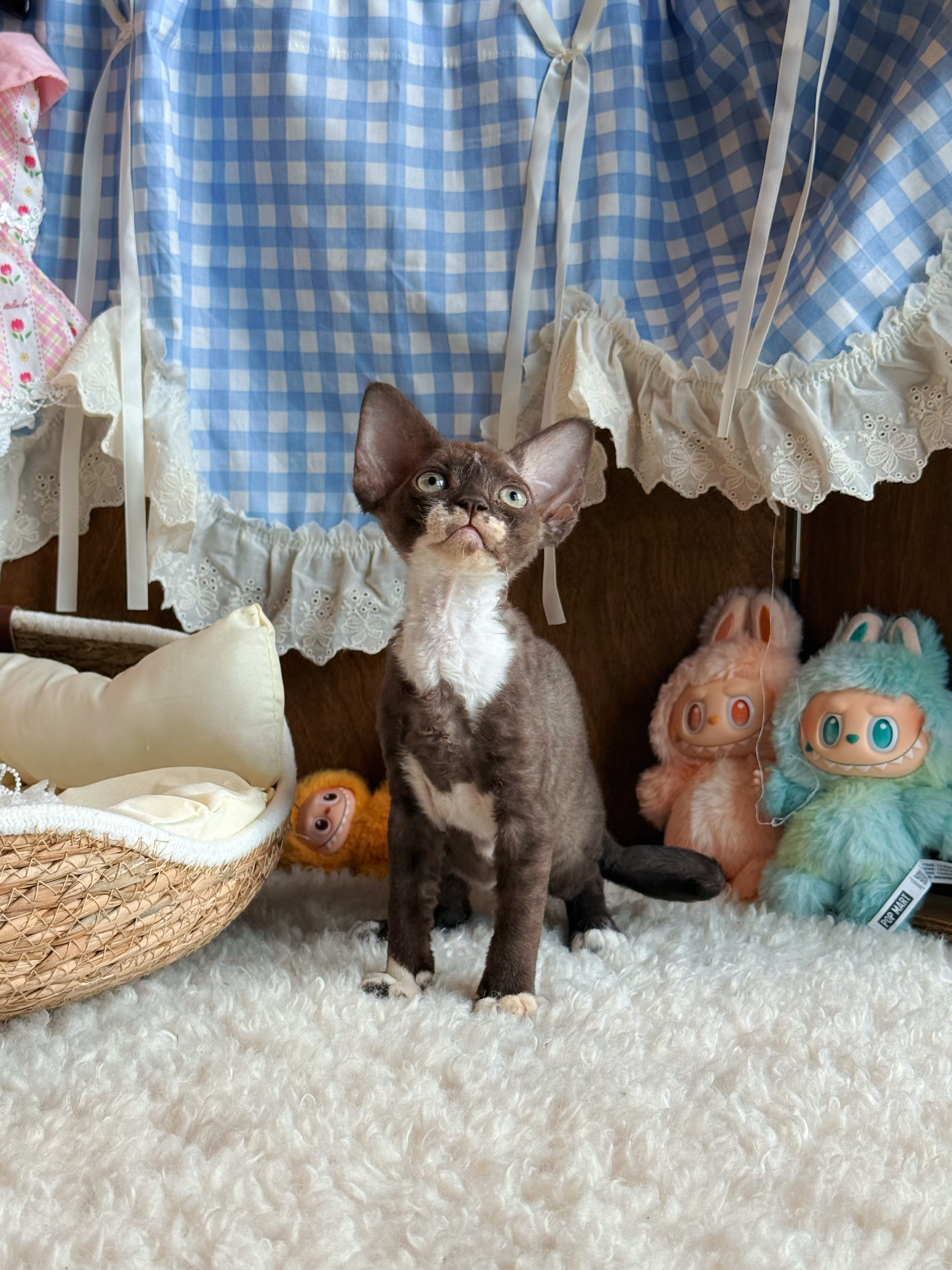 Kiki 2
