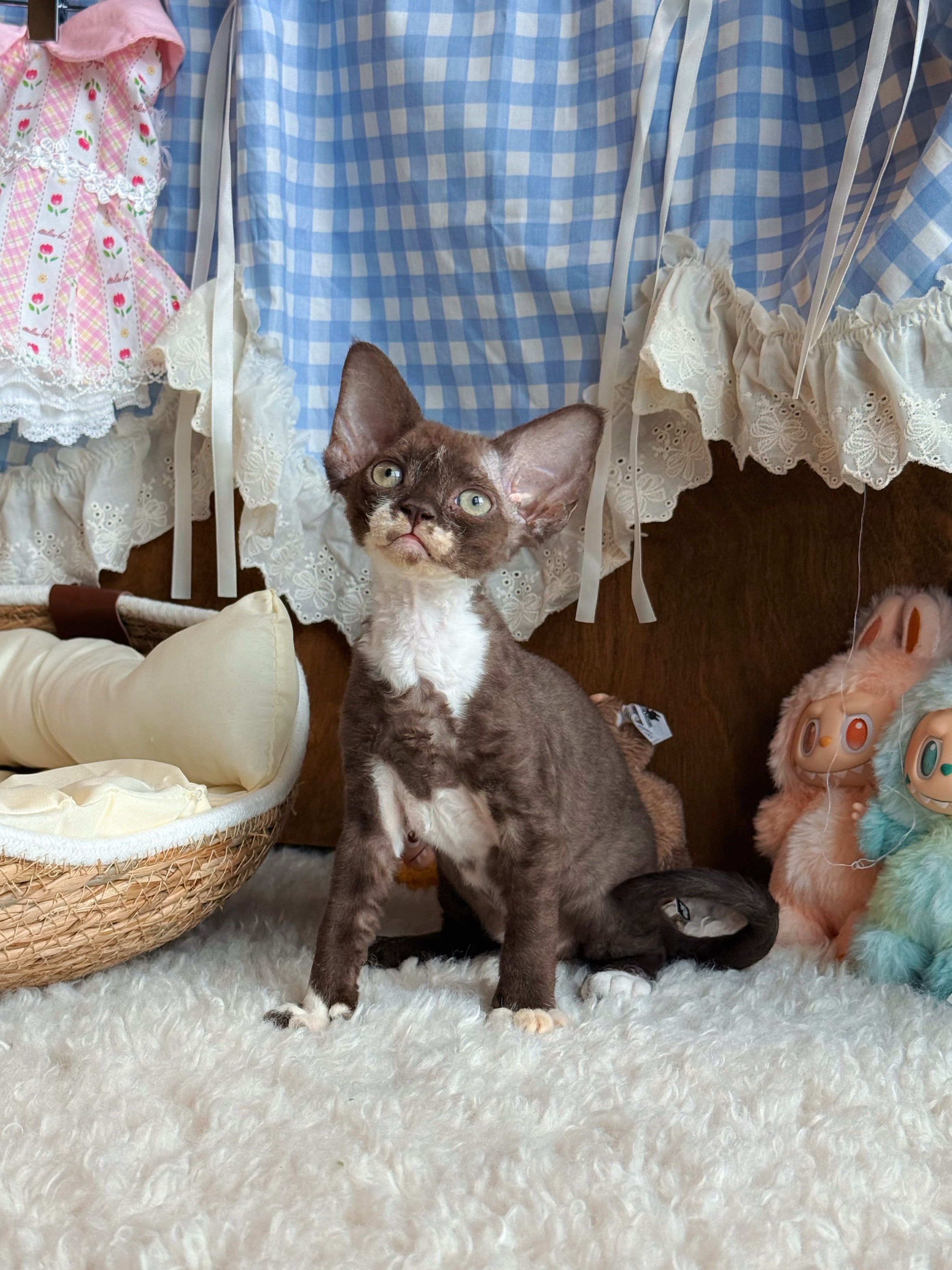 Kiki