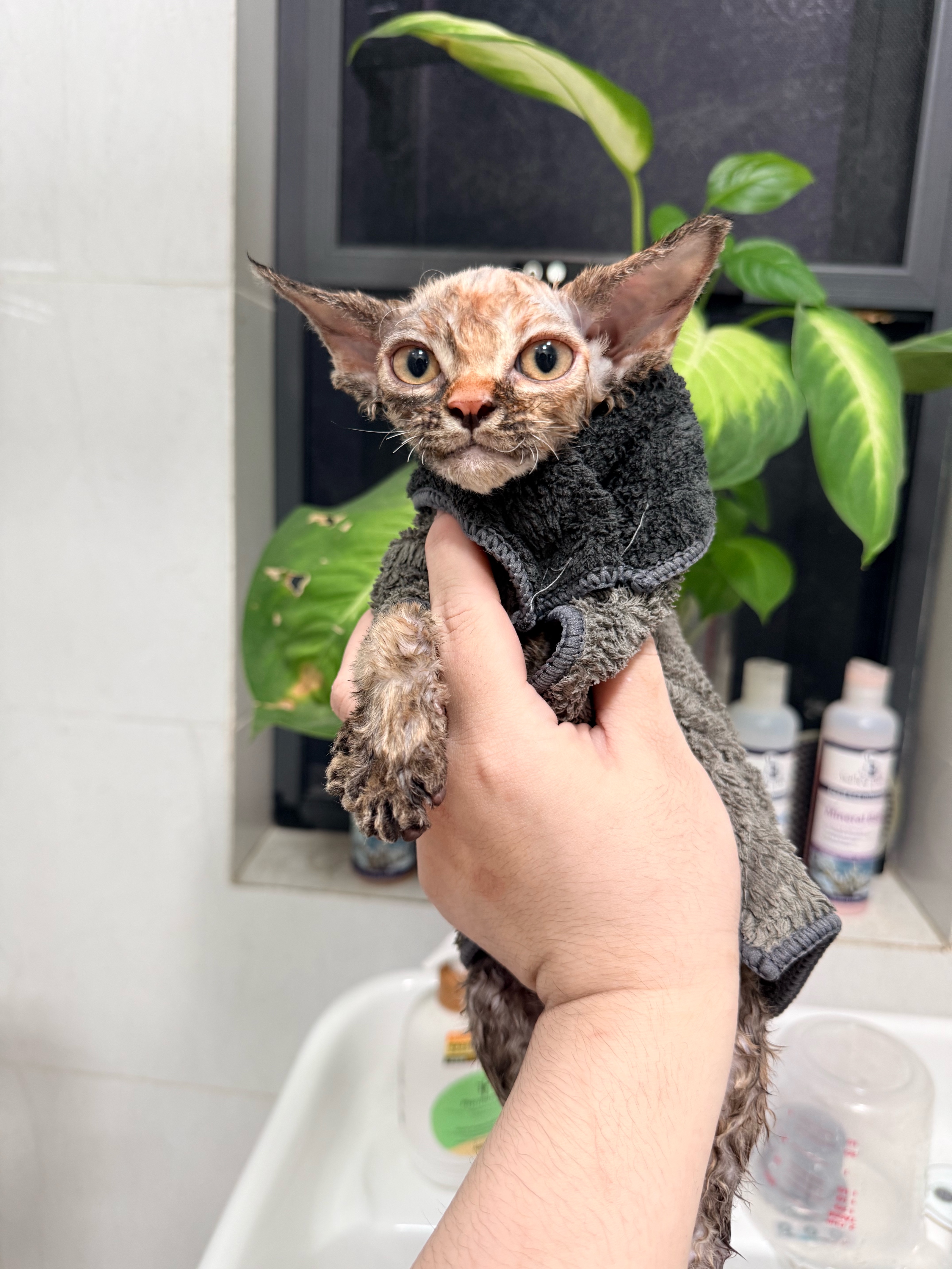 第一次洗澡🛁