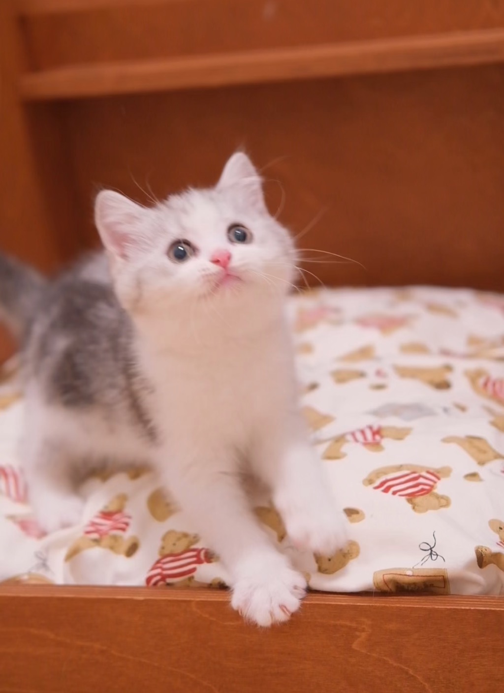 yuki