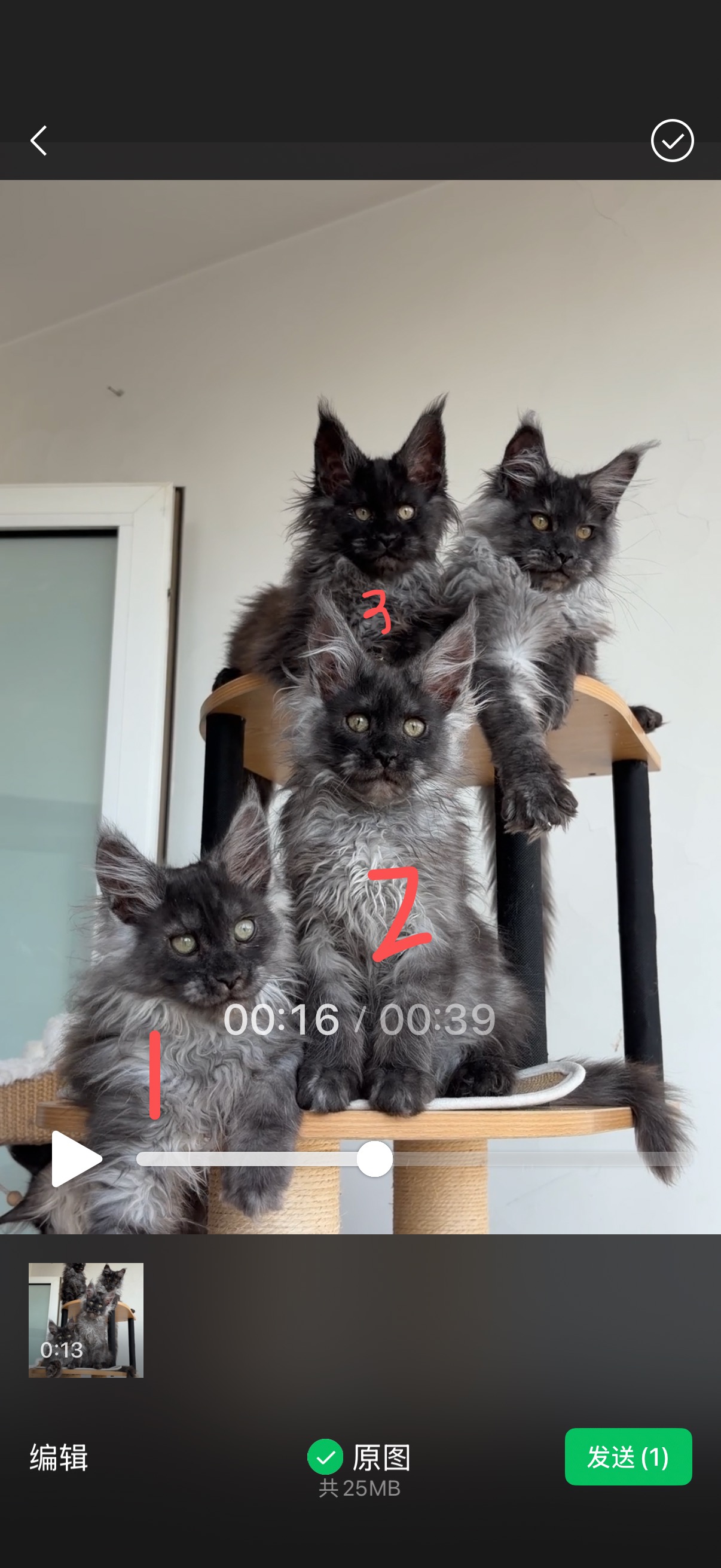 烟灰弟弟3只 照片 3