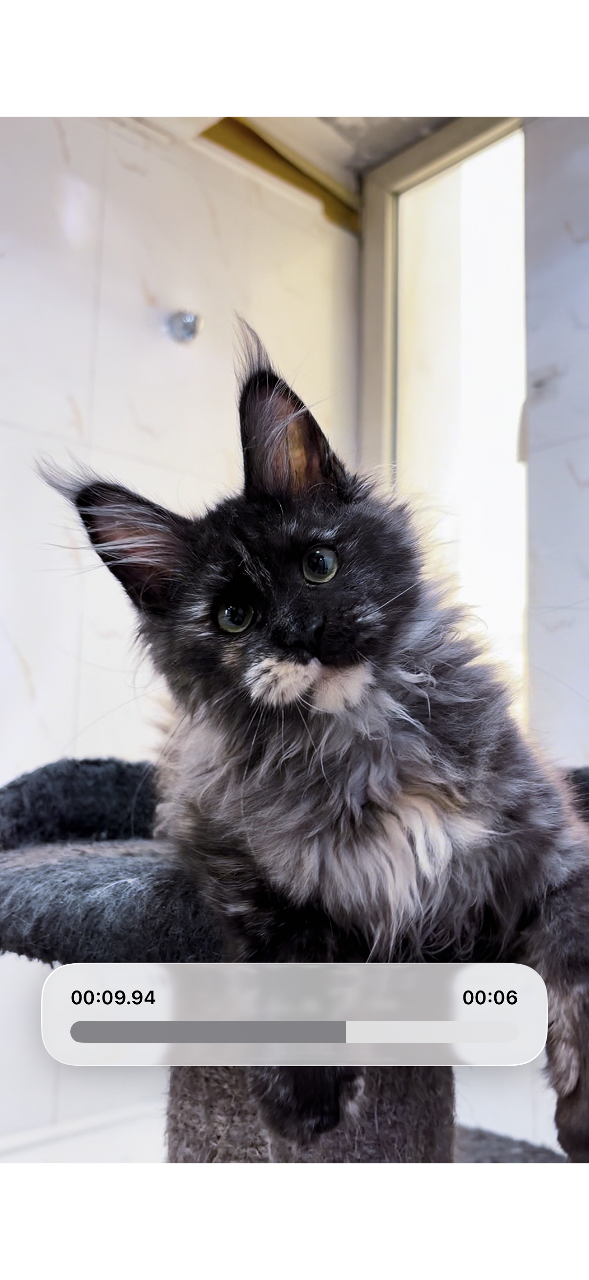 灰白妹妹 照片 1