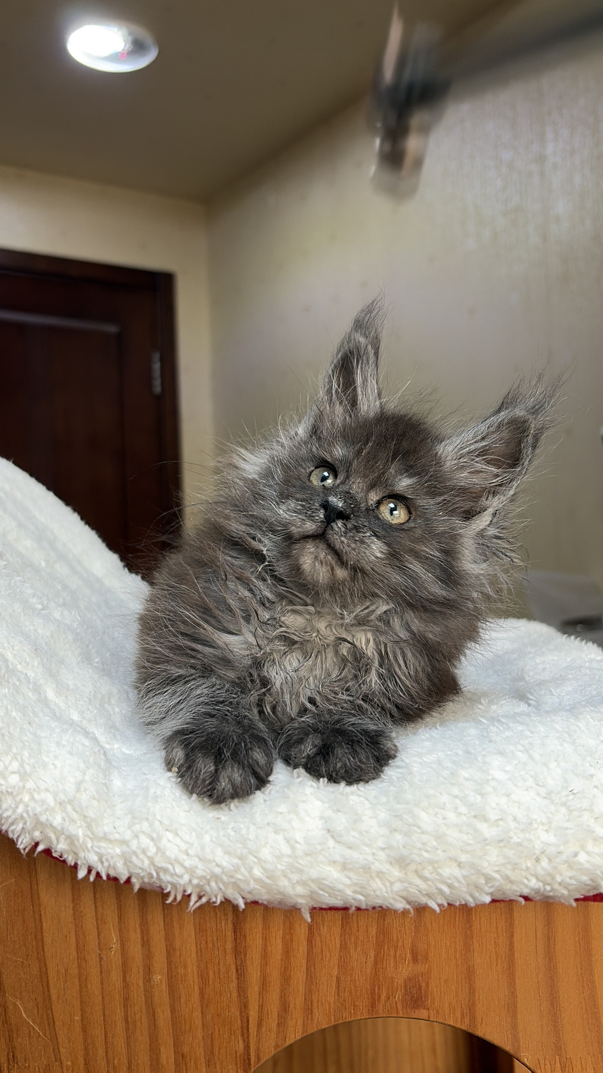 烟灰弟弟 照片 2