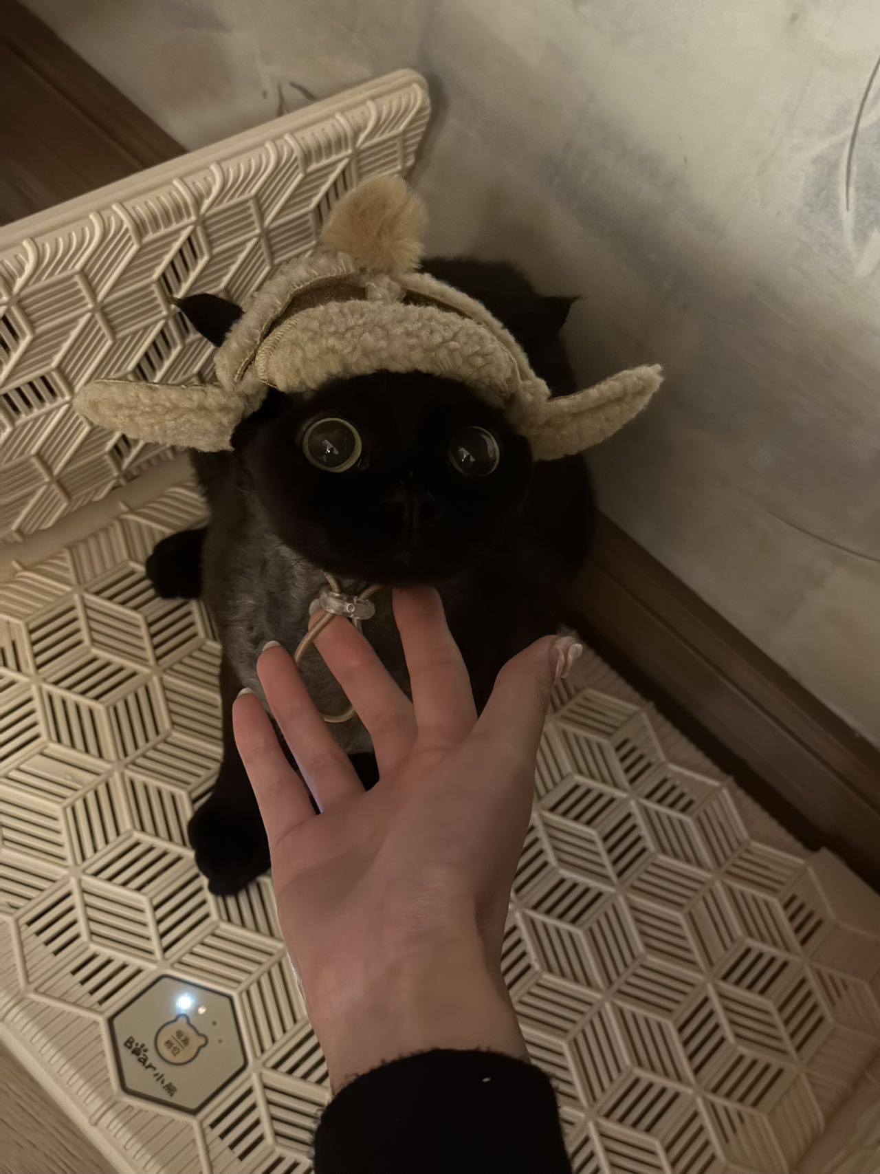 黑皮