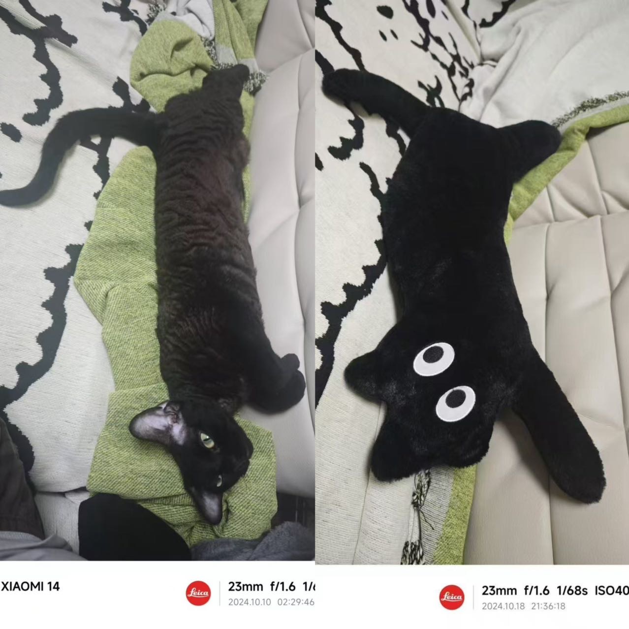 可乐