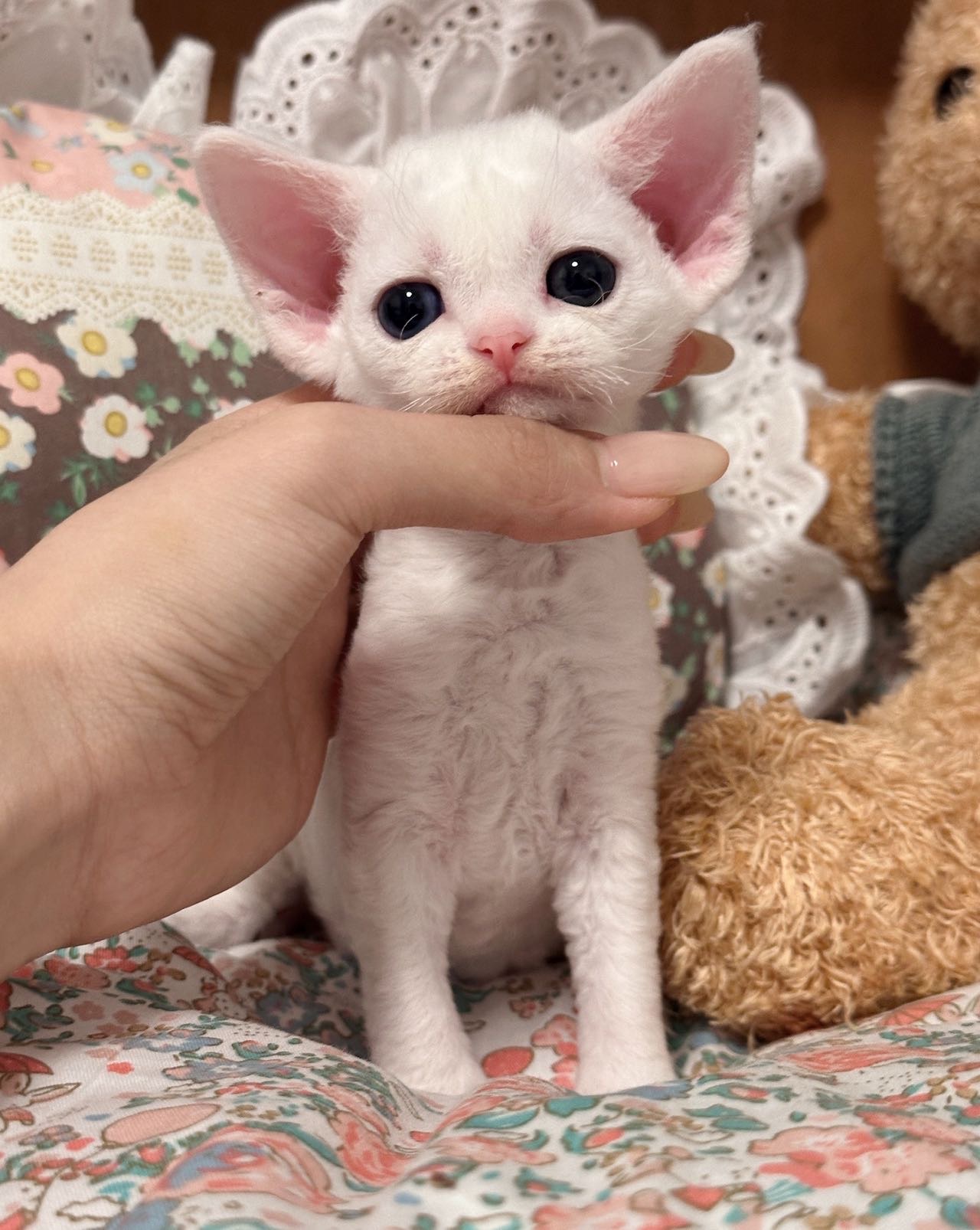 雪花