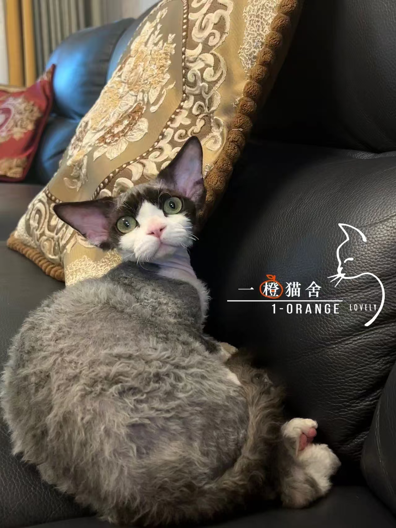贝克曼