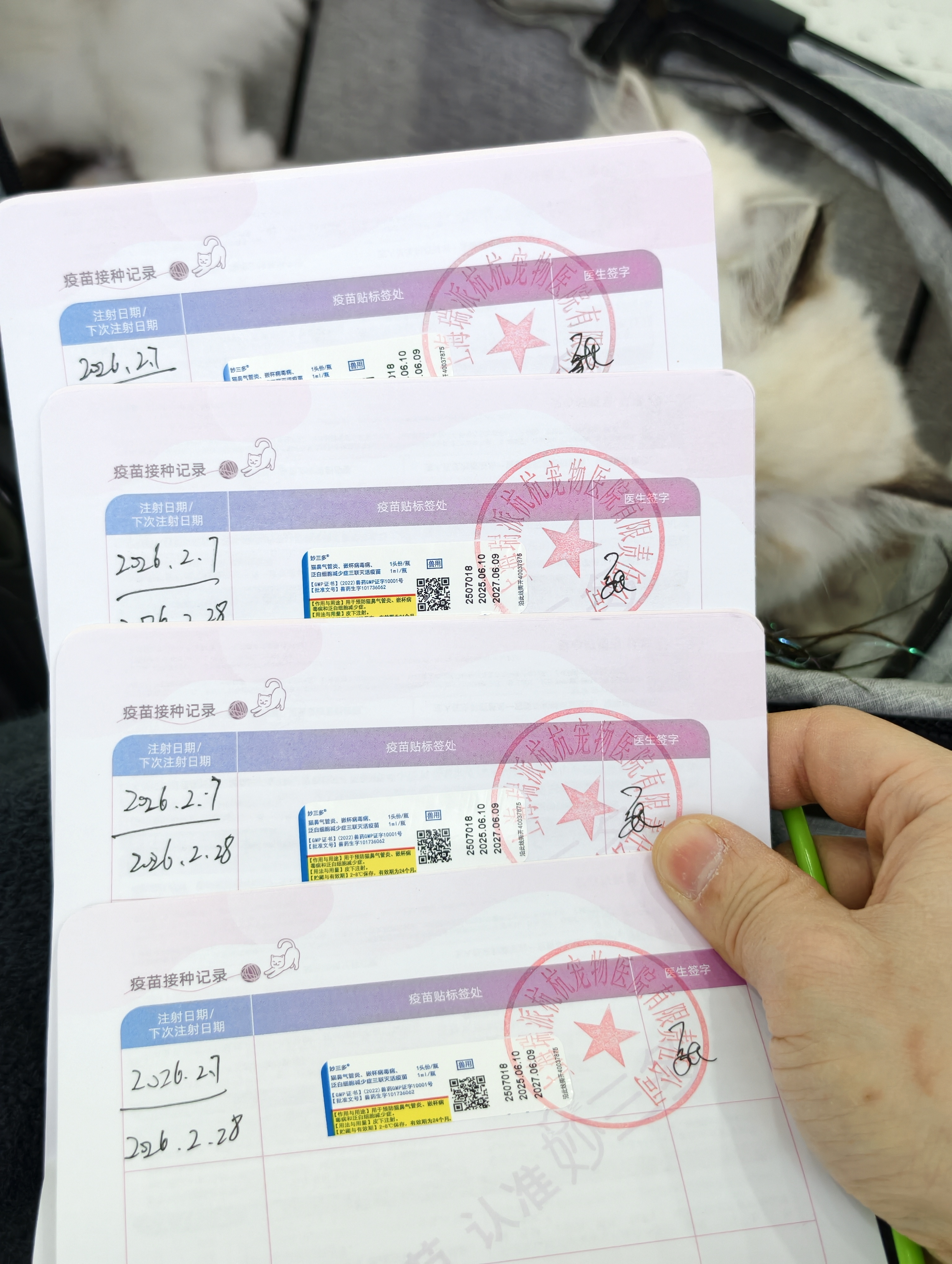 第一针完成