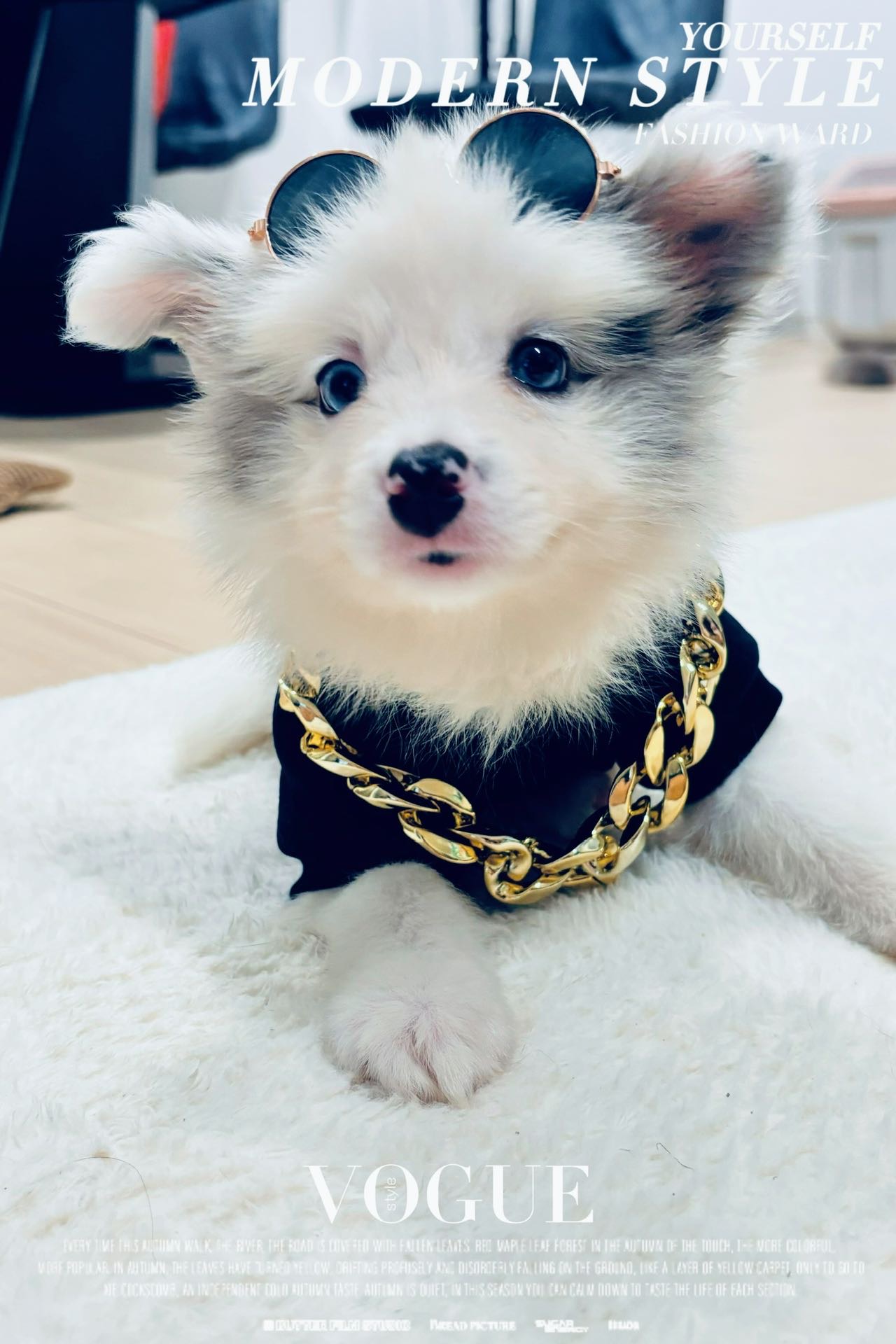 Leo