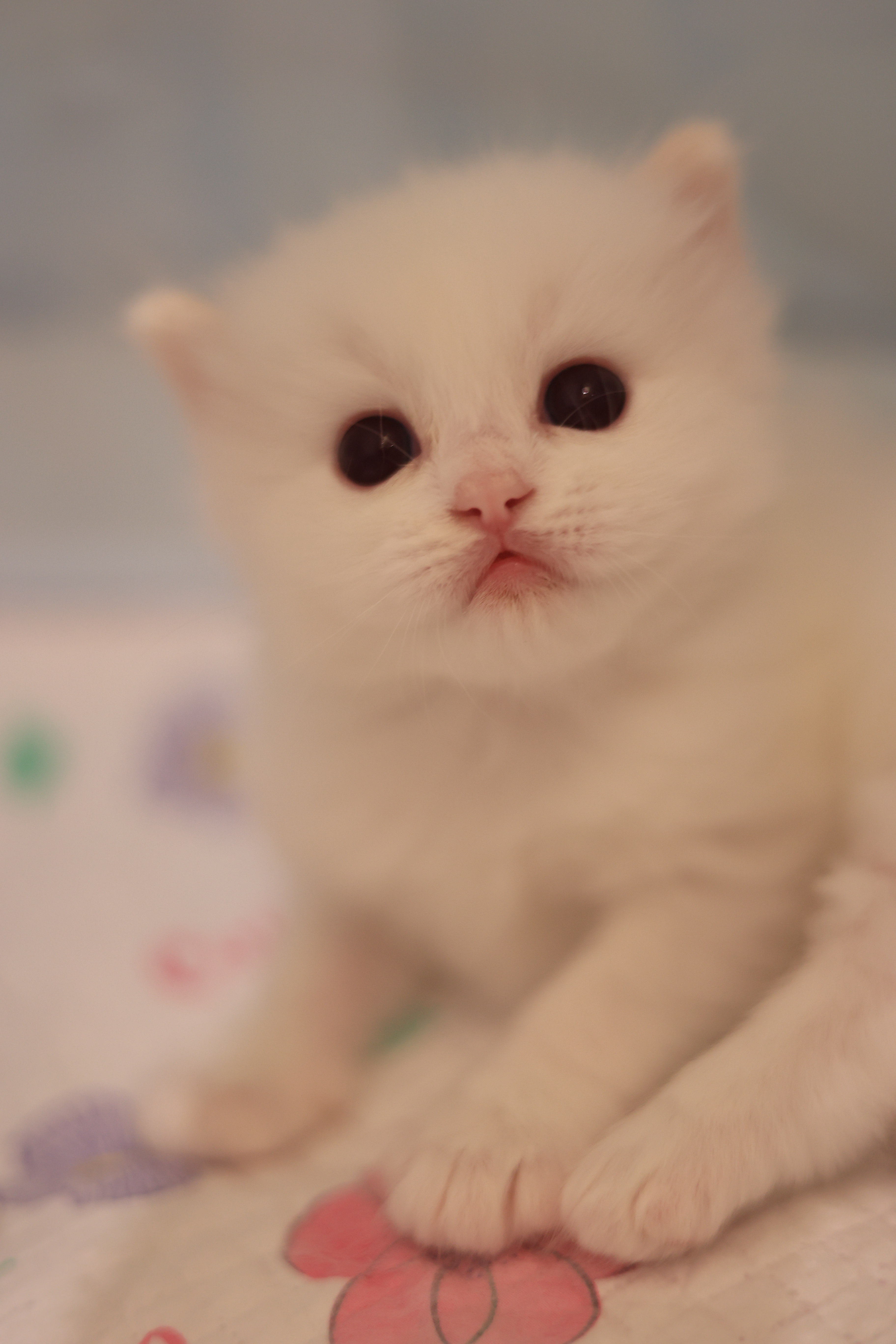 拿铁