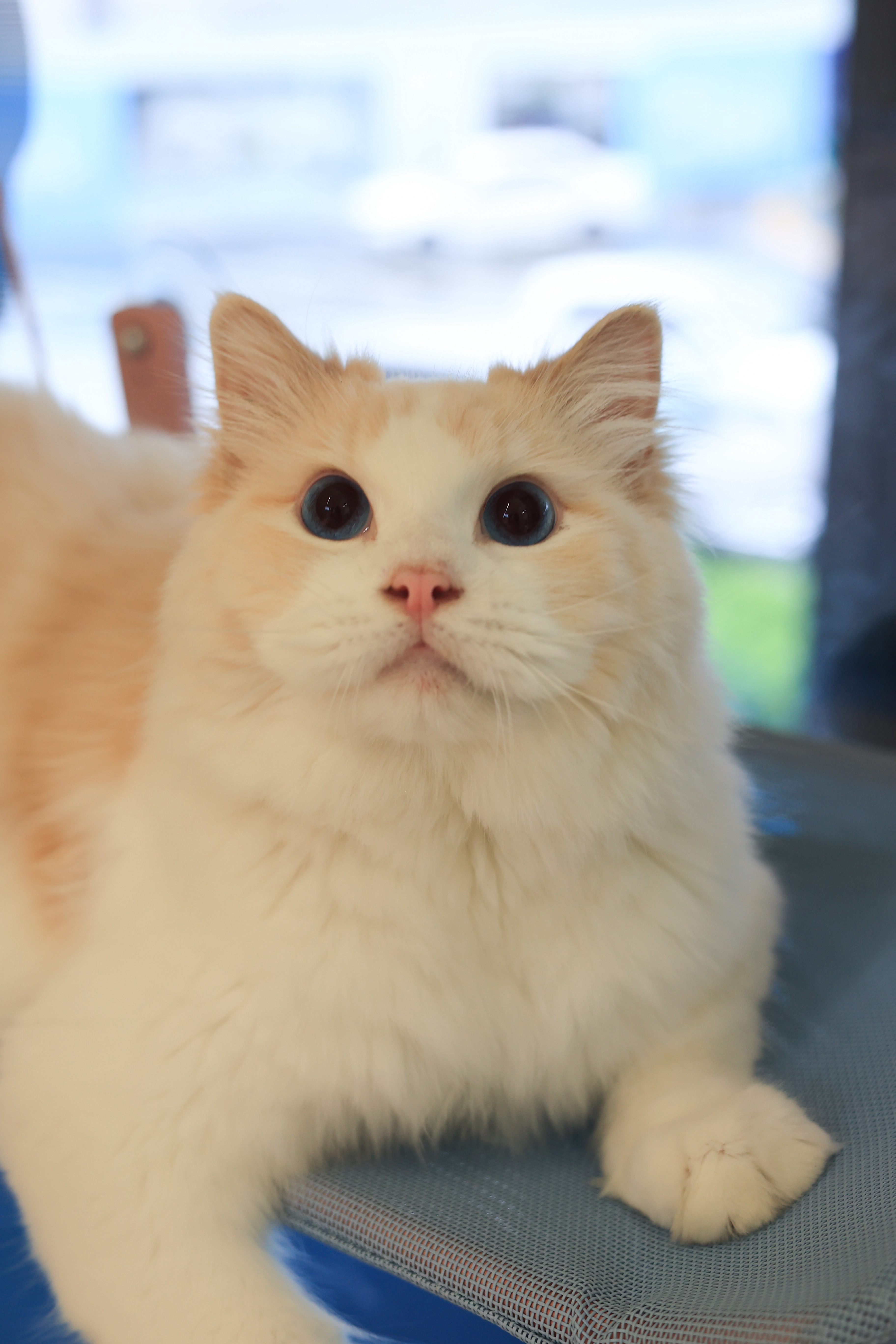 猪猪 照片 1