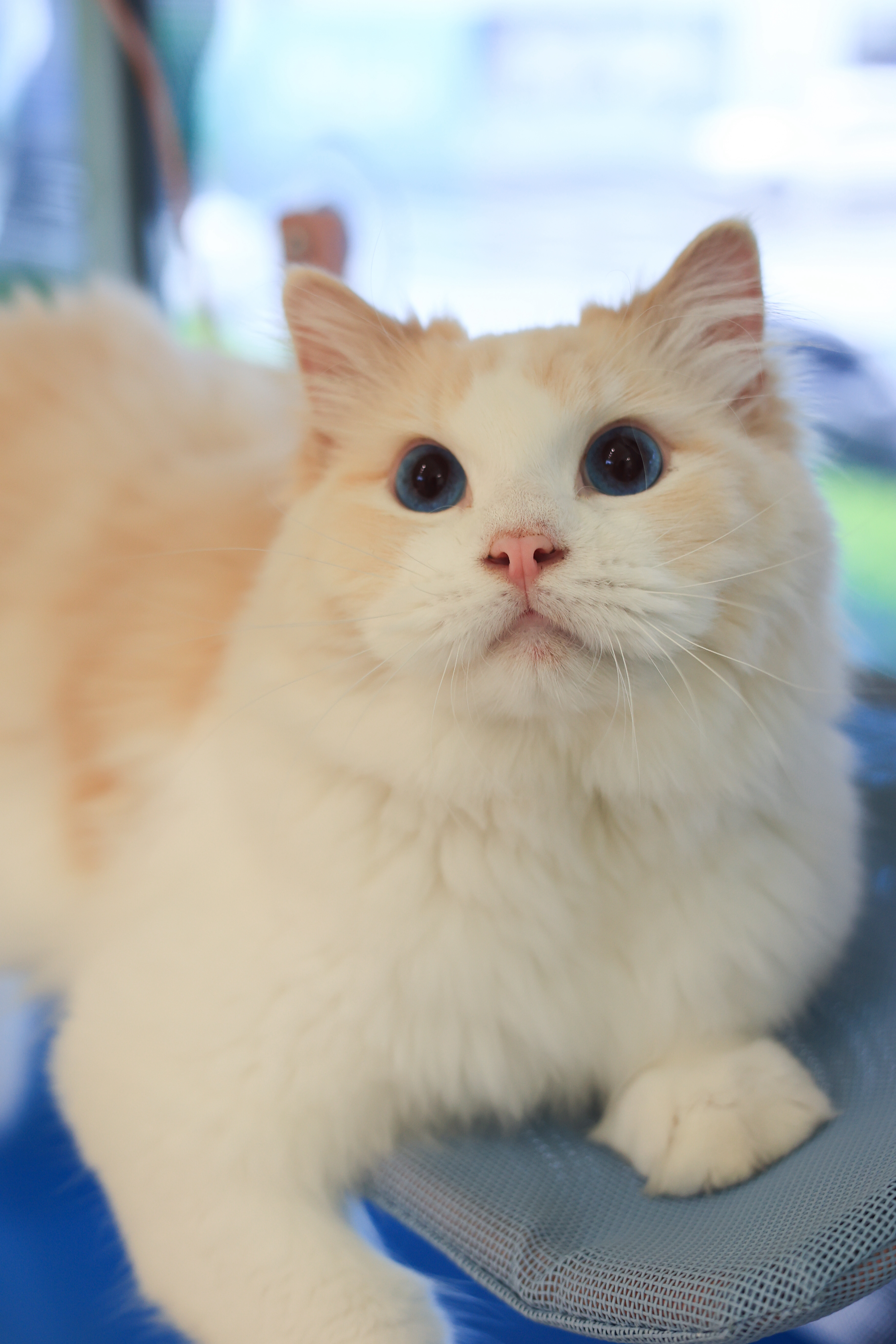 猪猪 照片 2