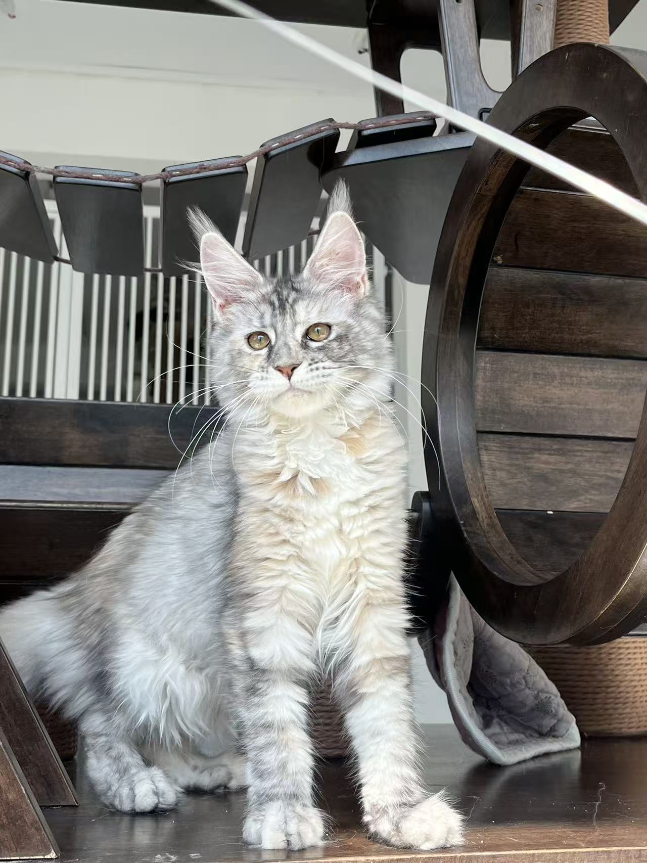 英子