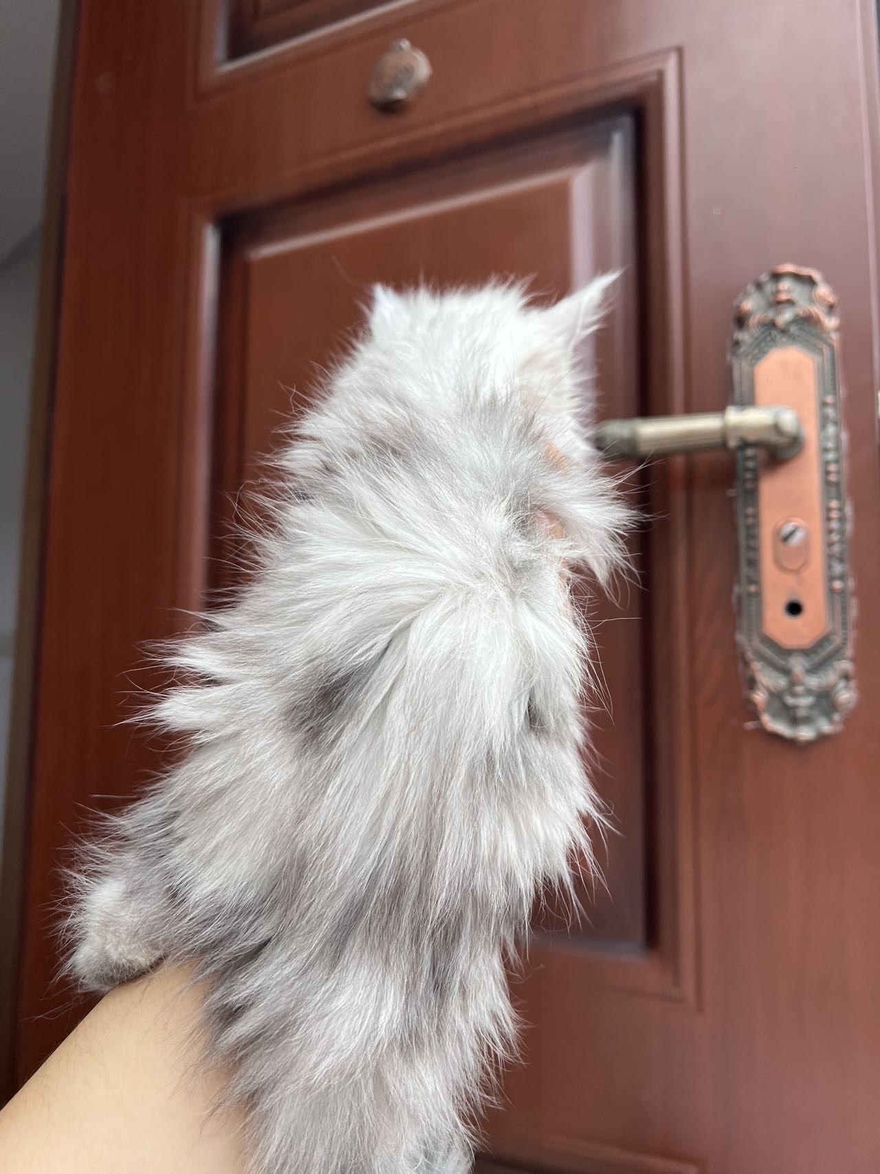 高汐 照片 8