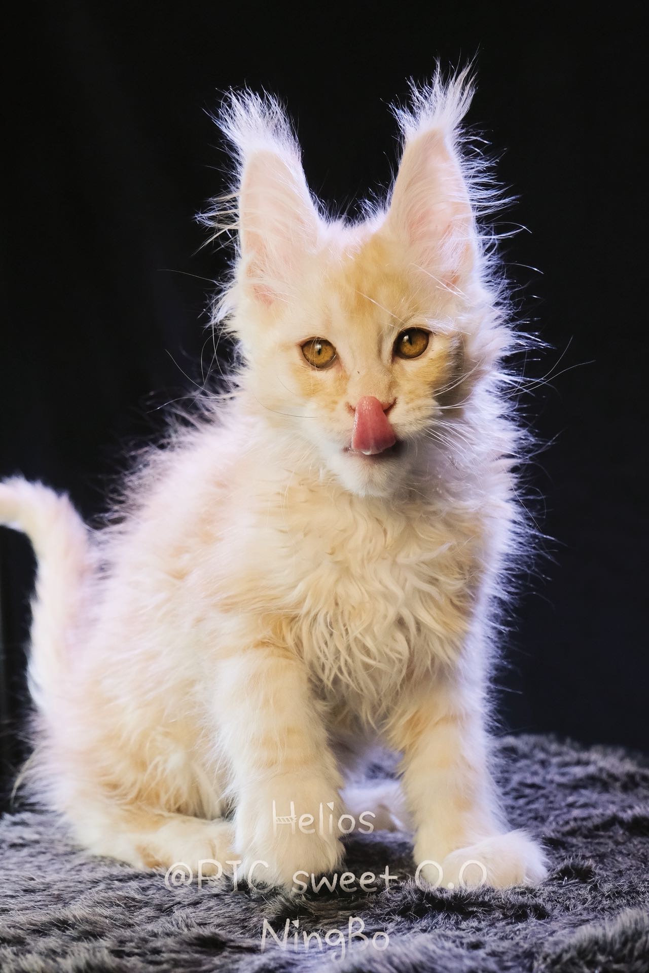 Helios/赫利俄斯 照片 6