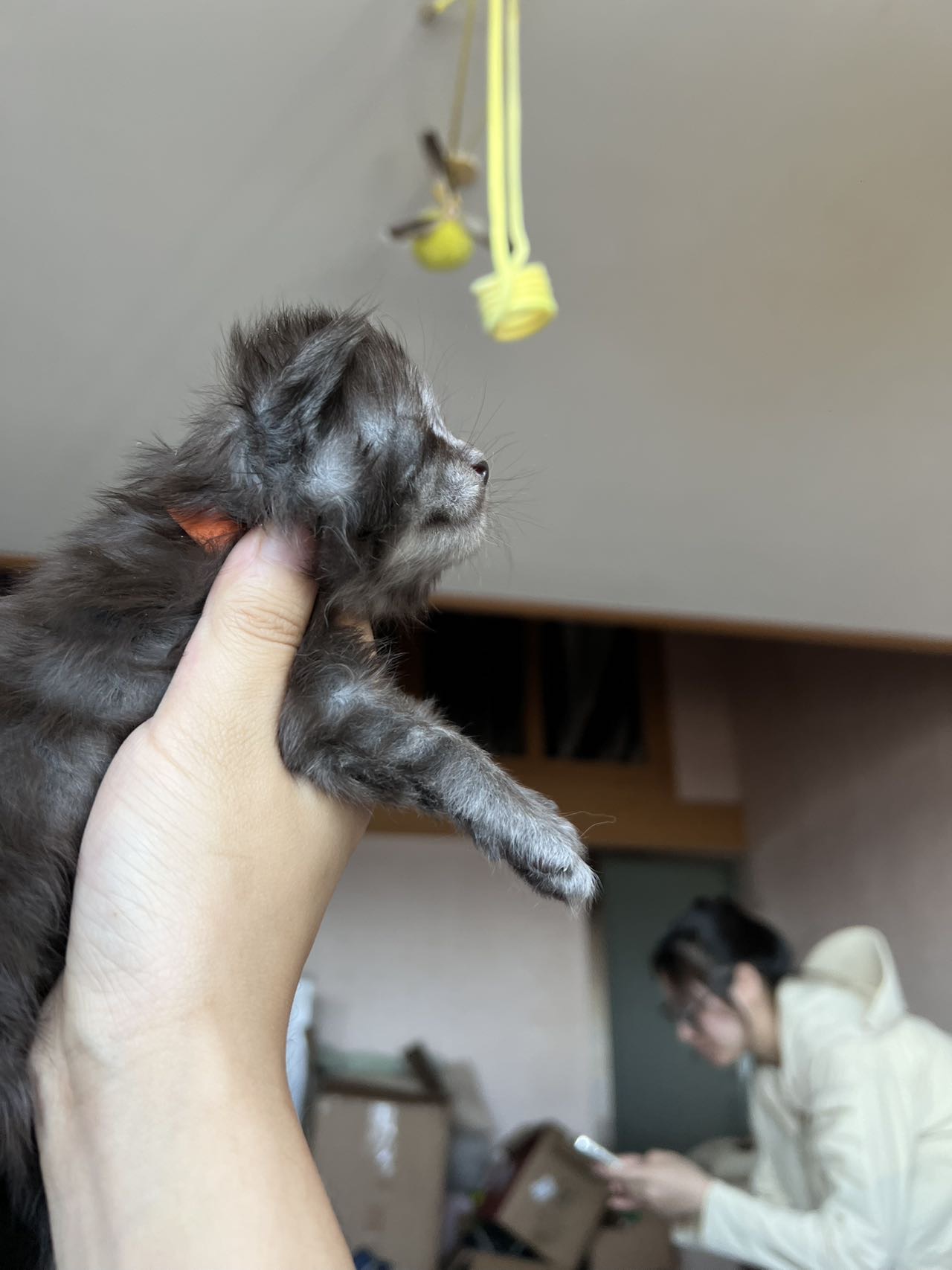 烟灰弟弟 8