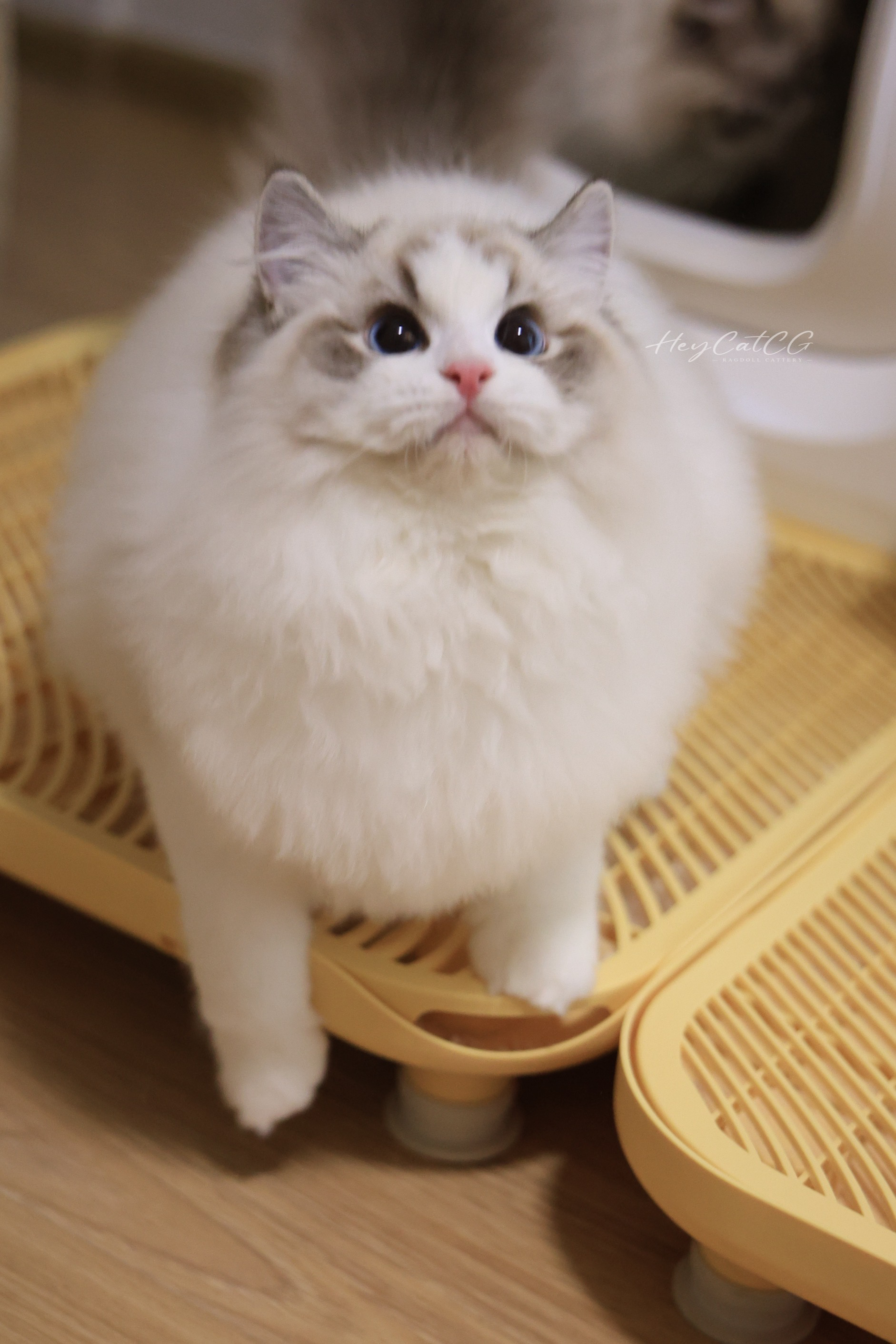 丁满