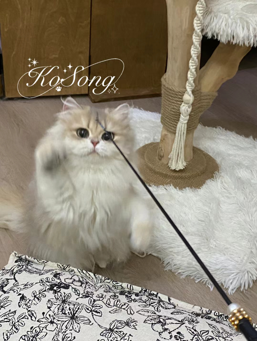 金锁