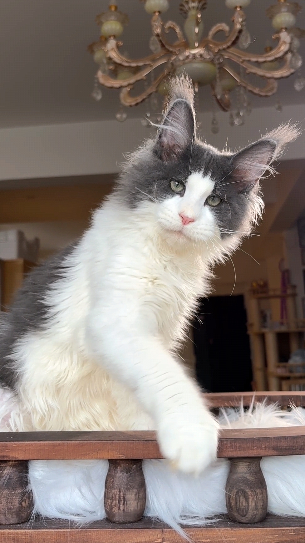 烟加白弟弟 照片 1