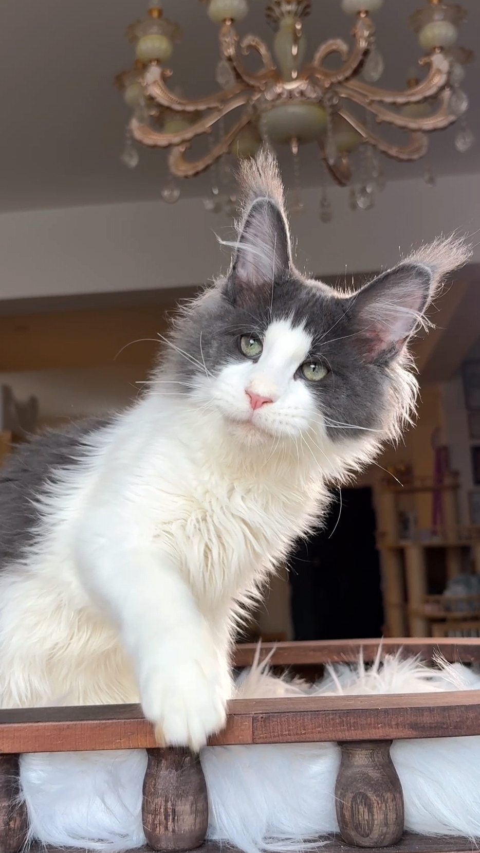 烟加白弟弟 照片 2