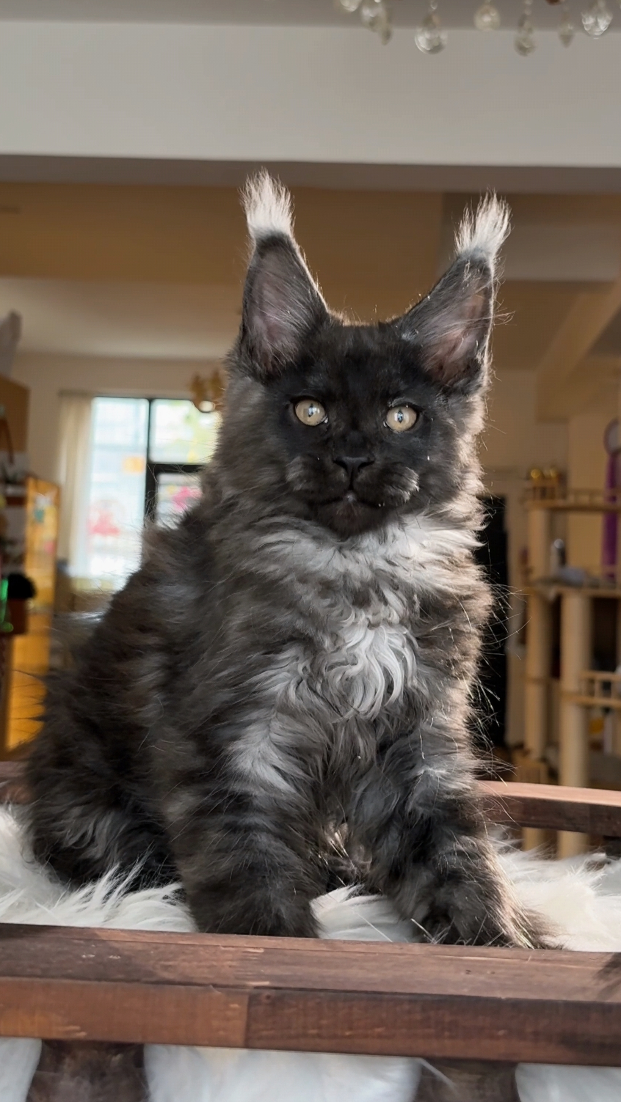 烟灰弟弟 照片 1