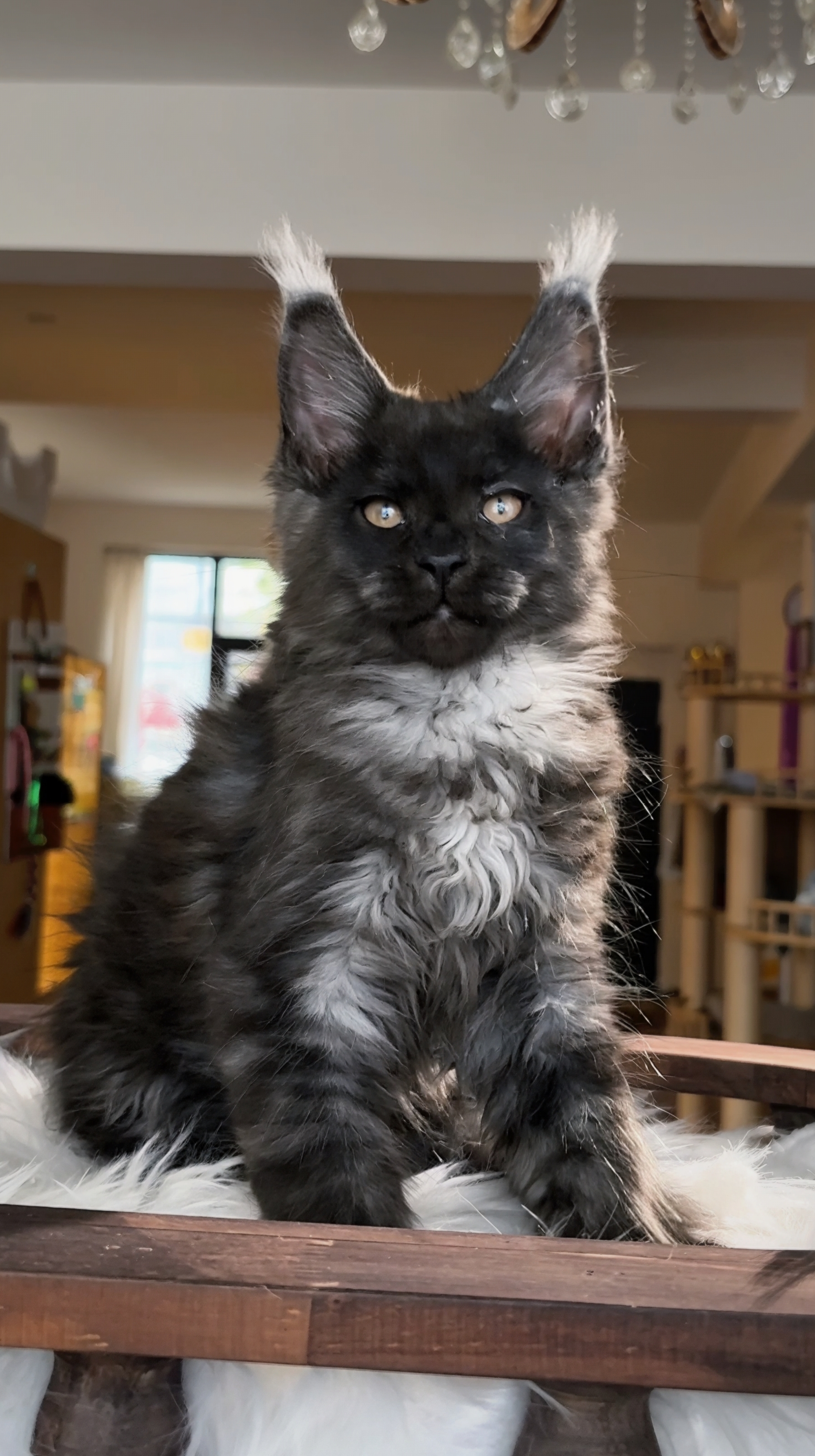 烟灰弟弟 照片 2