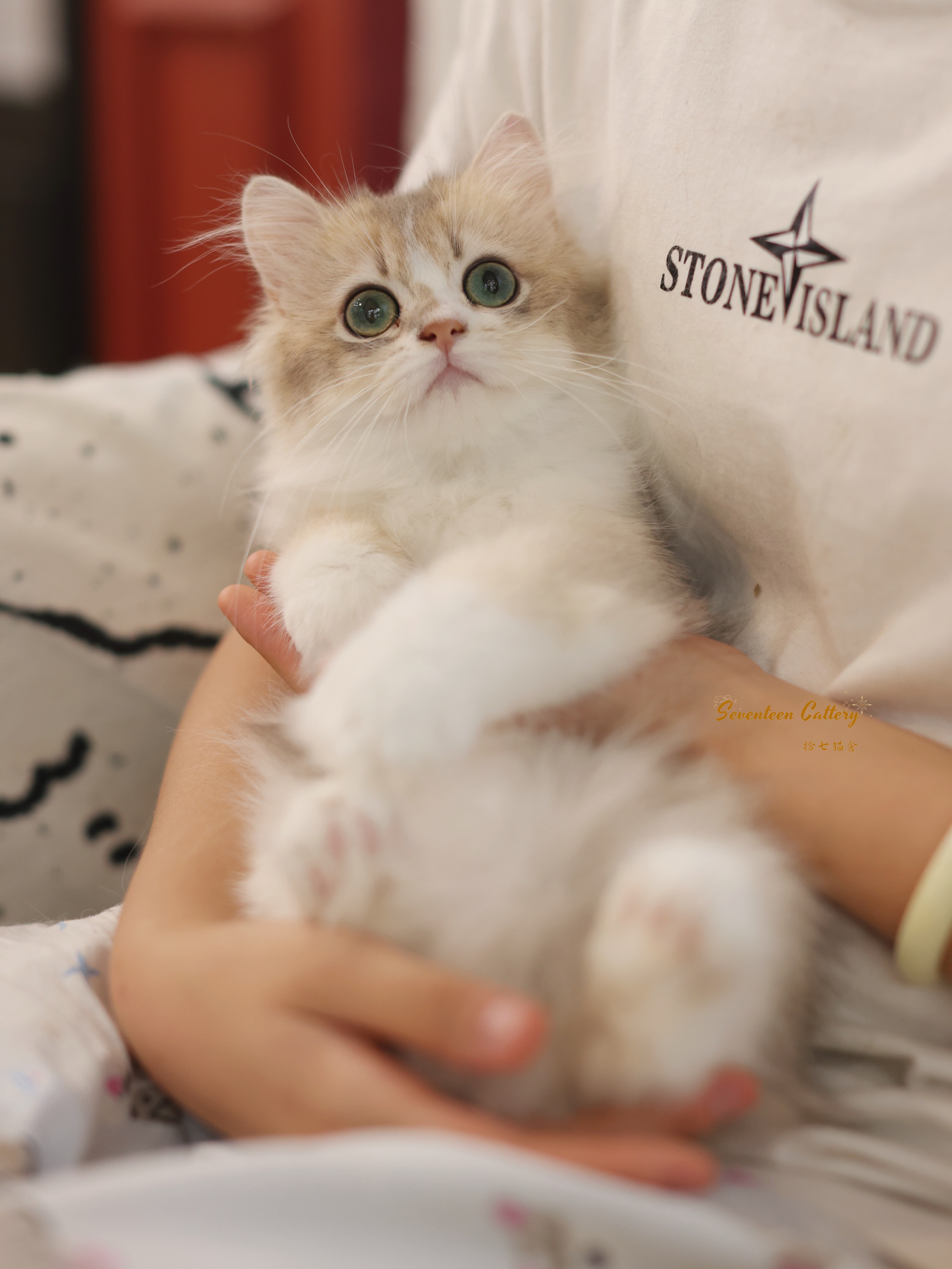 小开