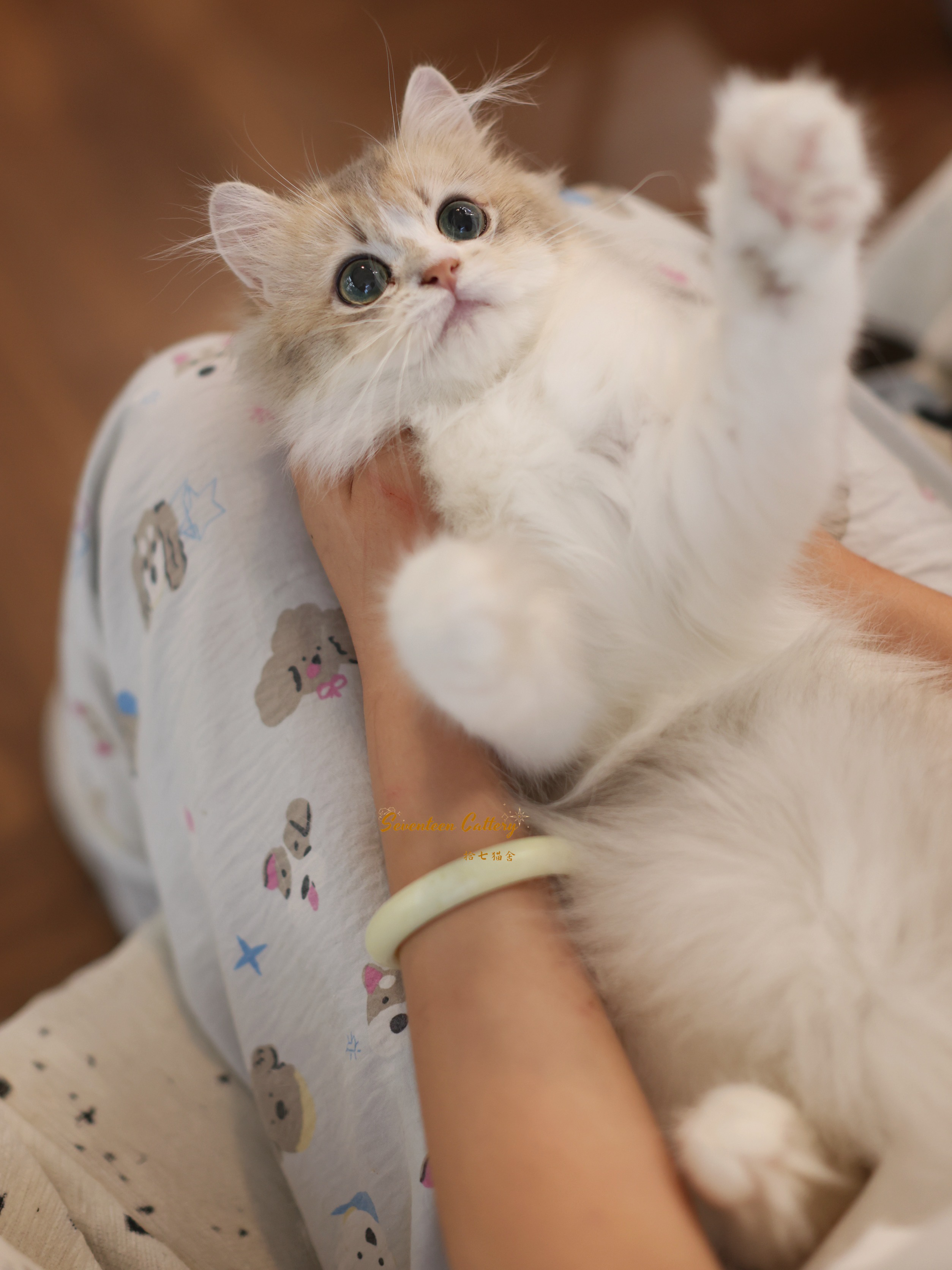 小开 4
